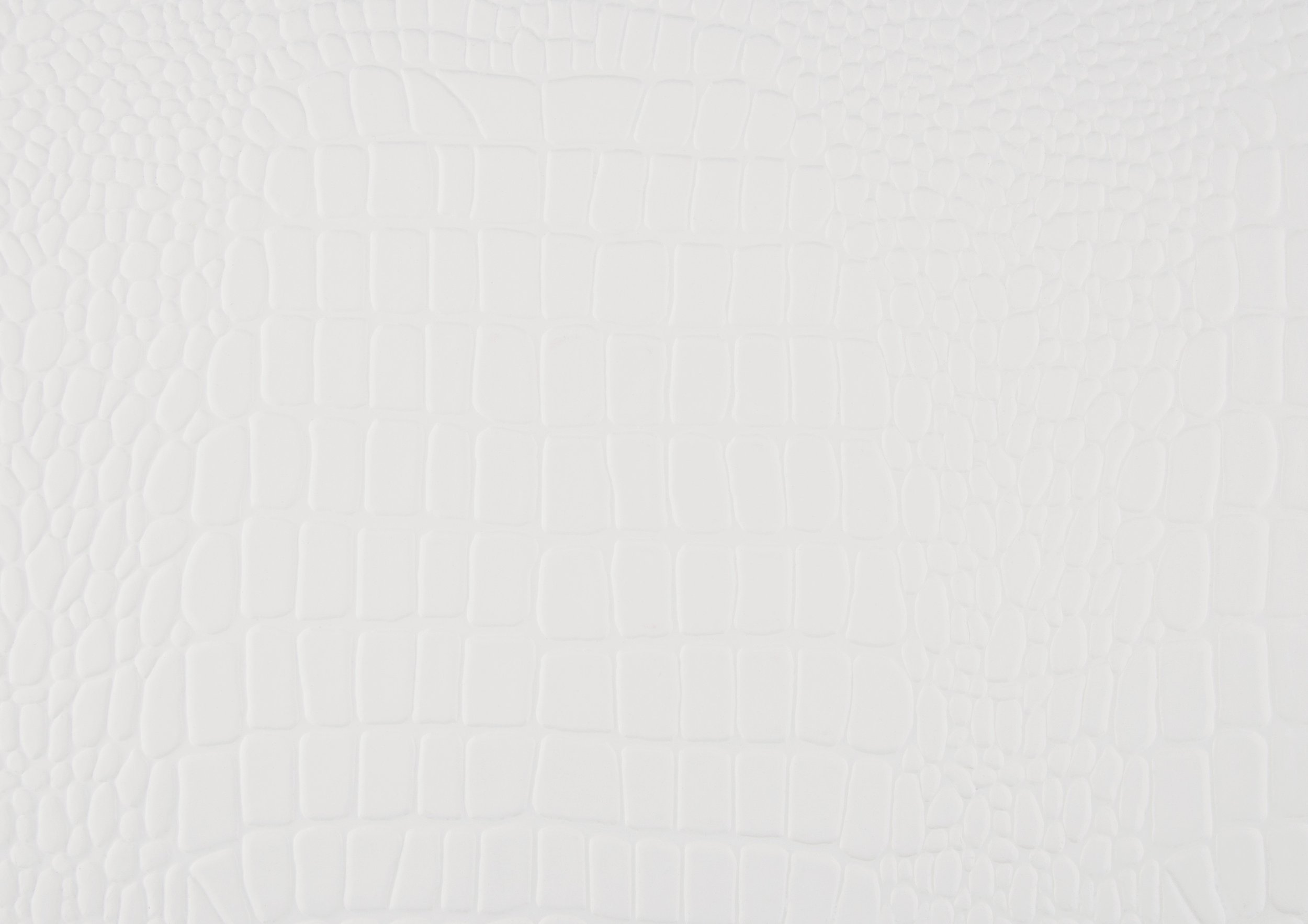 white4.jpg