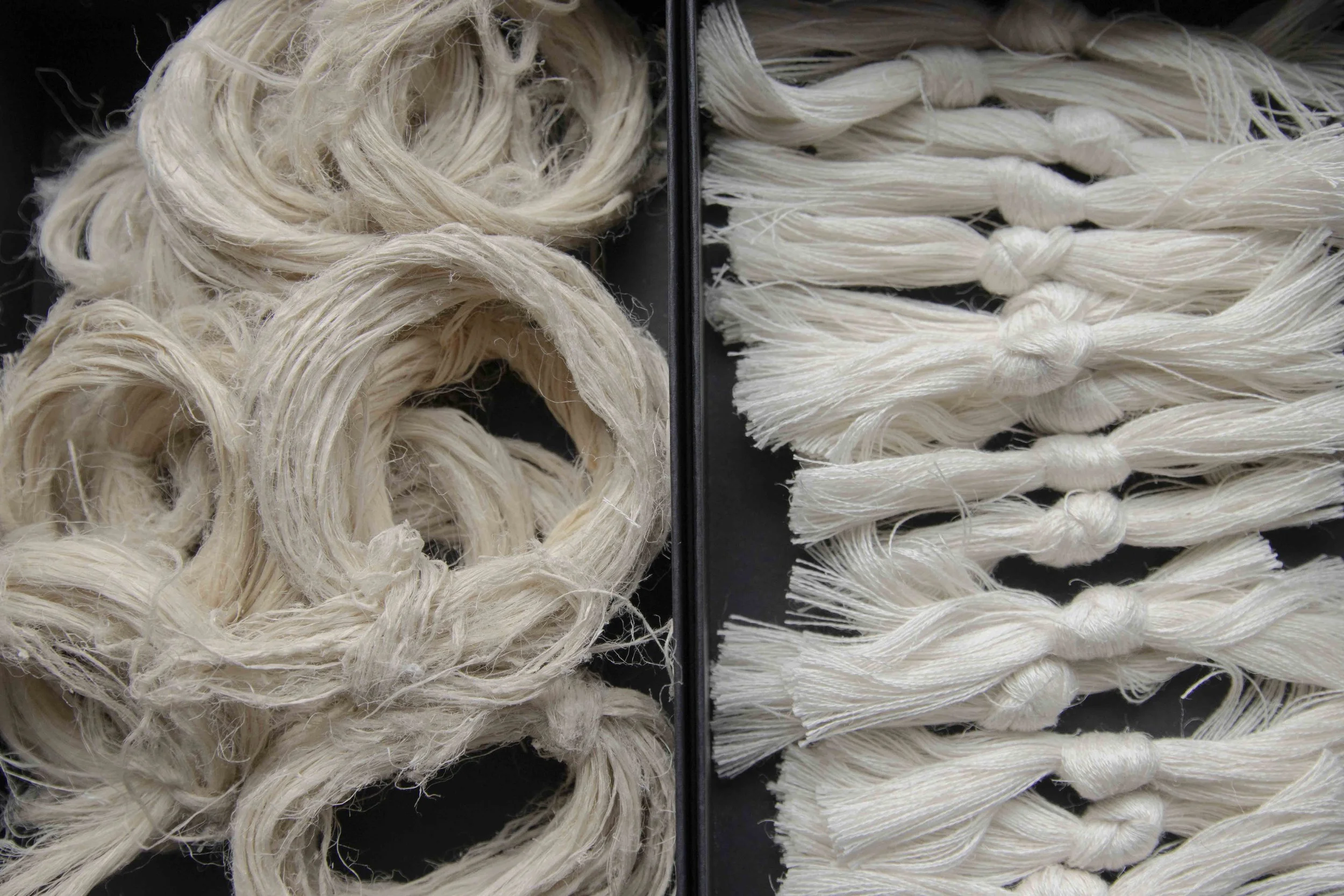 pineapple leaf fibre