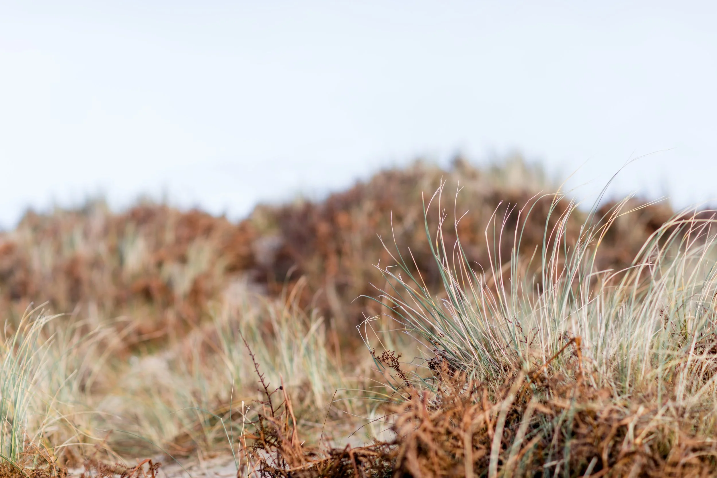 Ciaran and Jennifer-0004.jpg