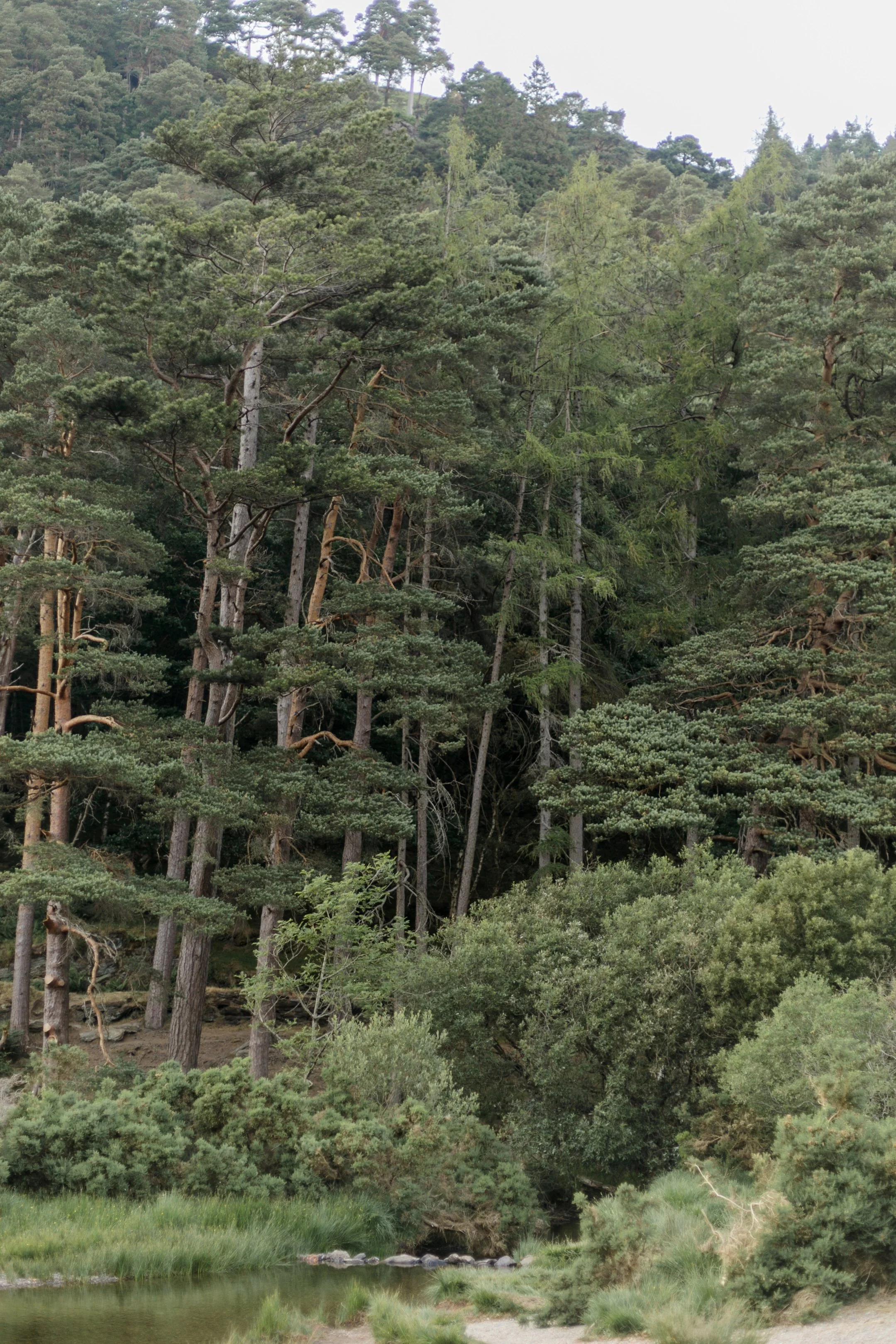 Glendalough Wicklow Ireland Photographer-0031.jpg