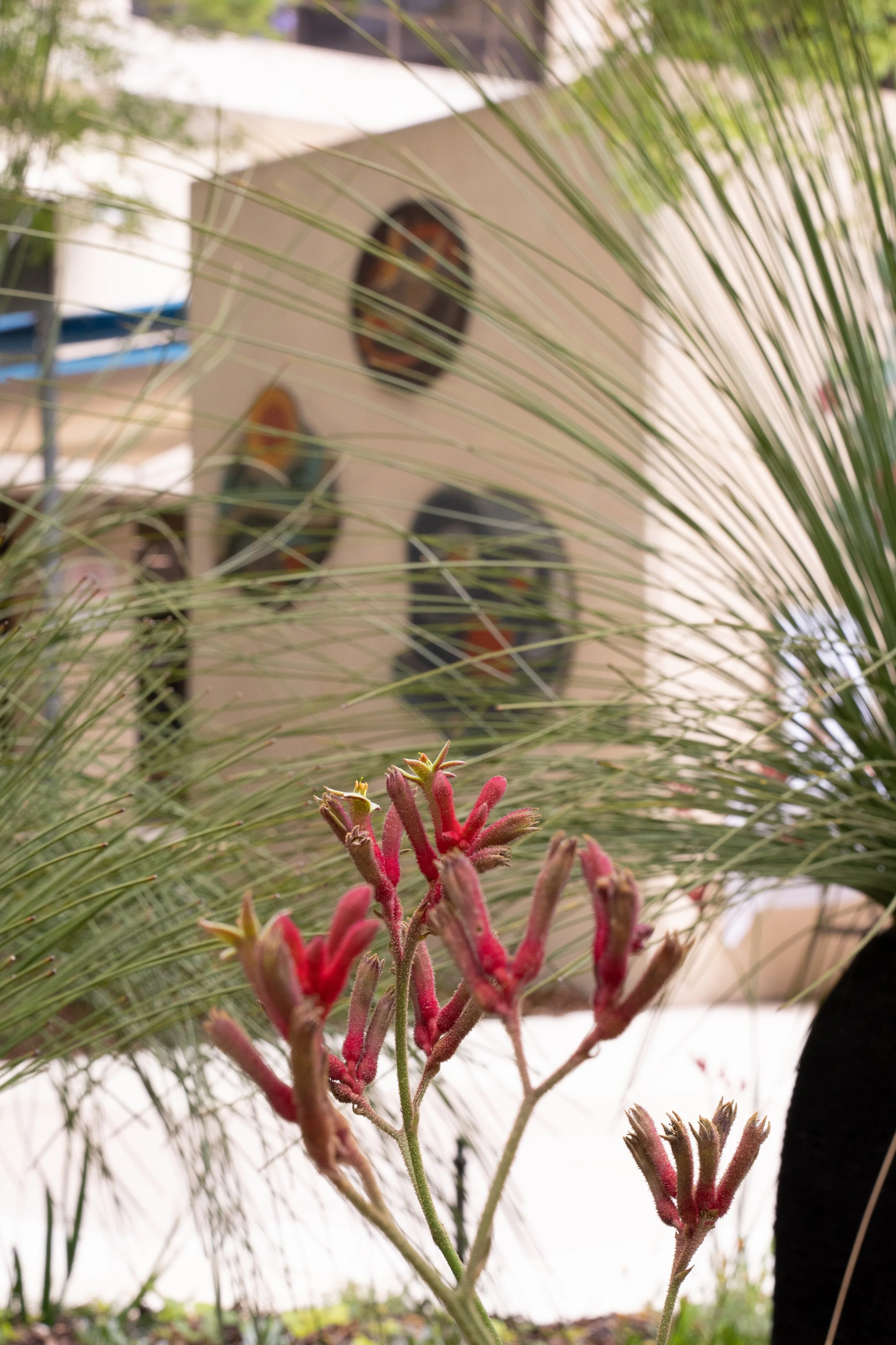 Untitled Export_25-11-25-EM St John (88 of 194).jpg