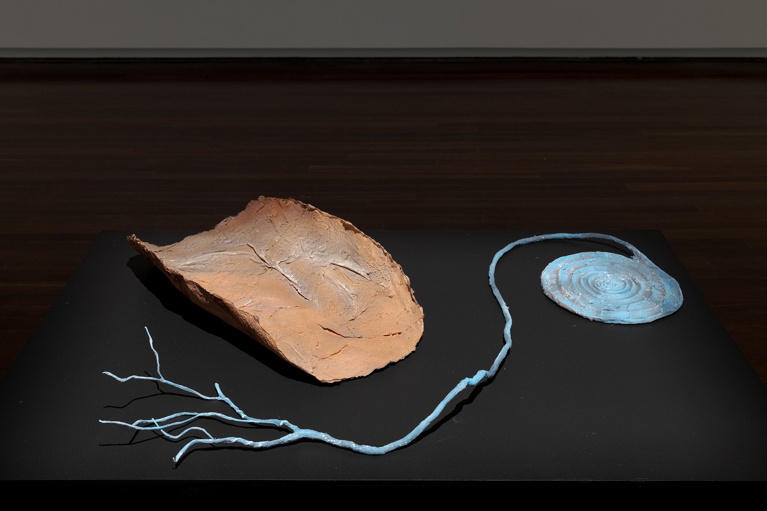 Goolugatup_Feb2026_What Mothers Carry_AC_PrintRes_15.jpg