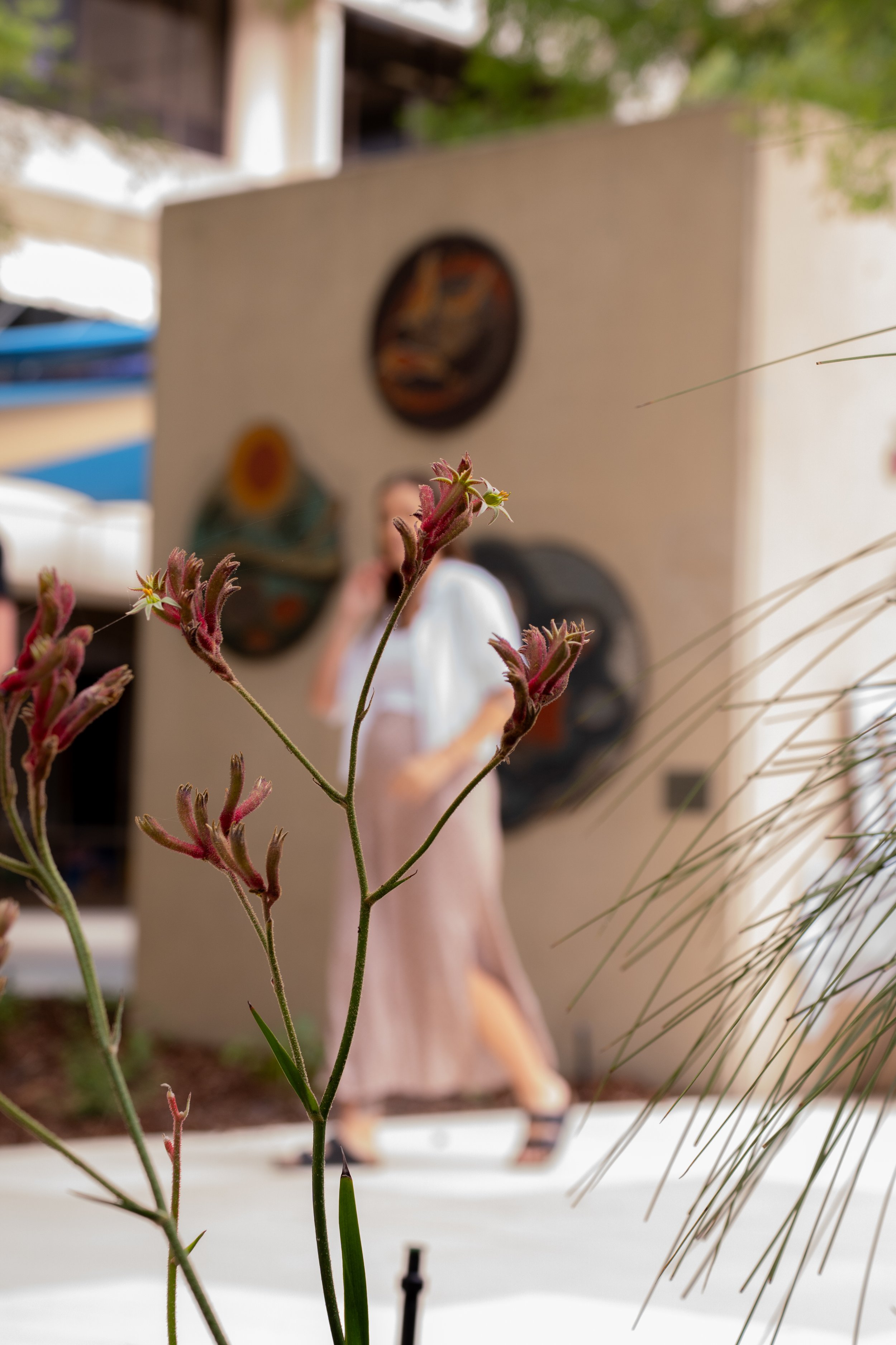 Untitled Export_25-11-25-EM St John (84 of 194).jpg