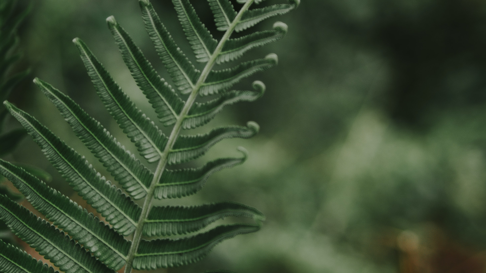 LIFE EVENT NAVIGATION & LEGACY SYSTEMS