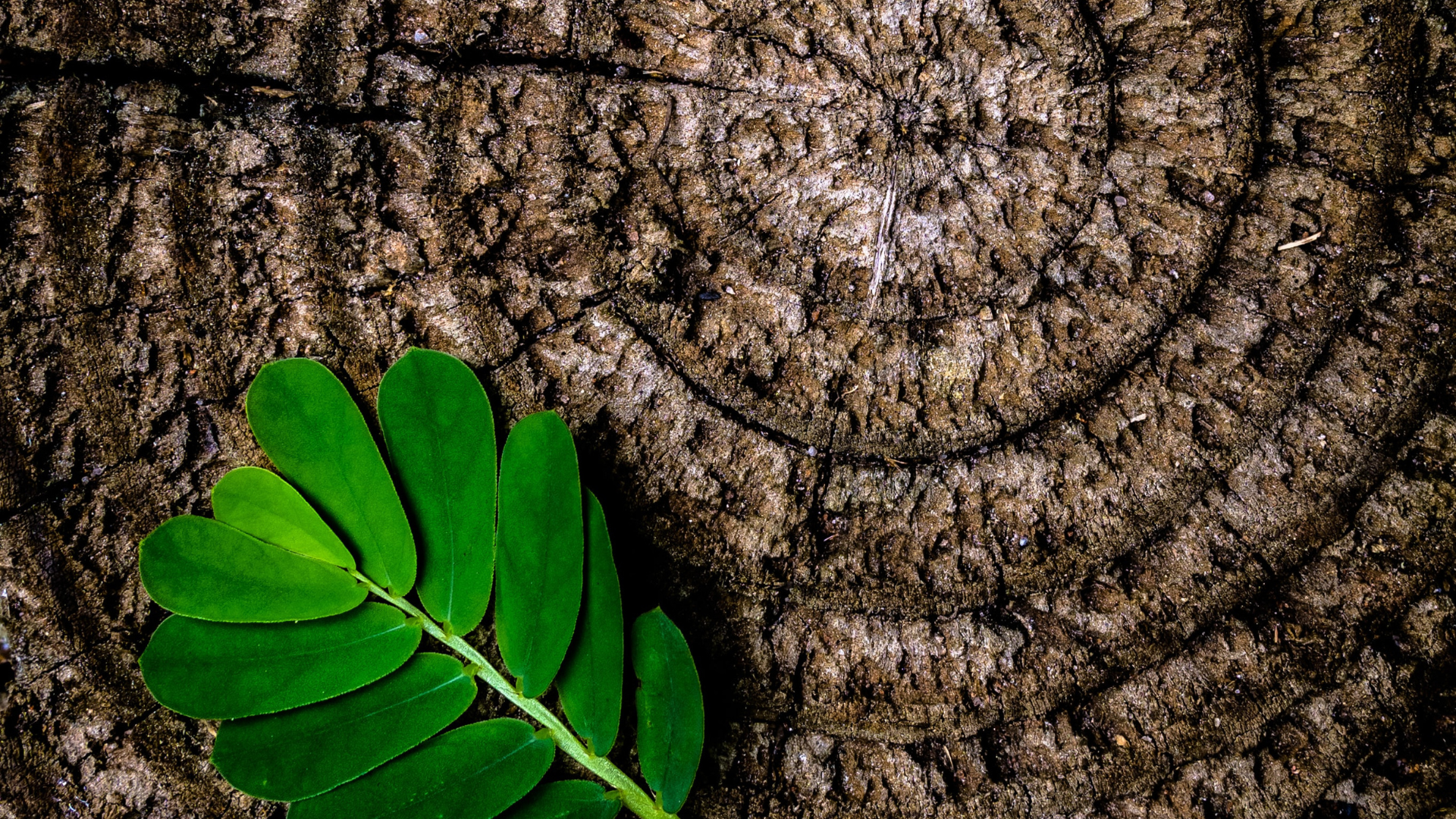 Kids Learning Lab - Every 2nd Saturday, 11AM- 1PM