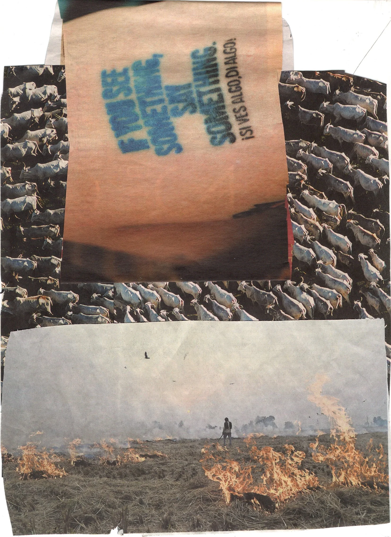 Collage archives