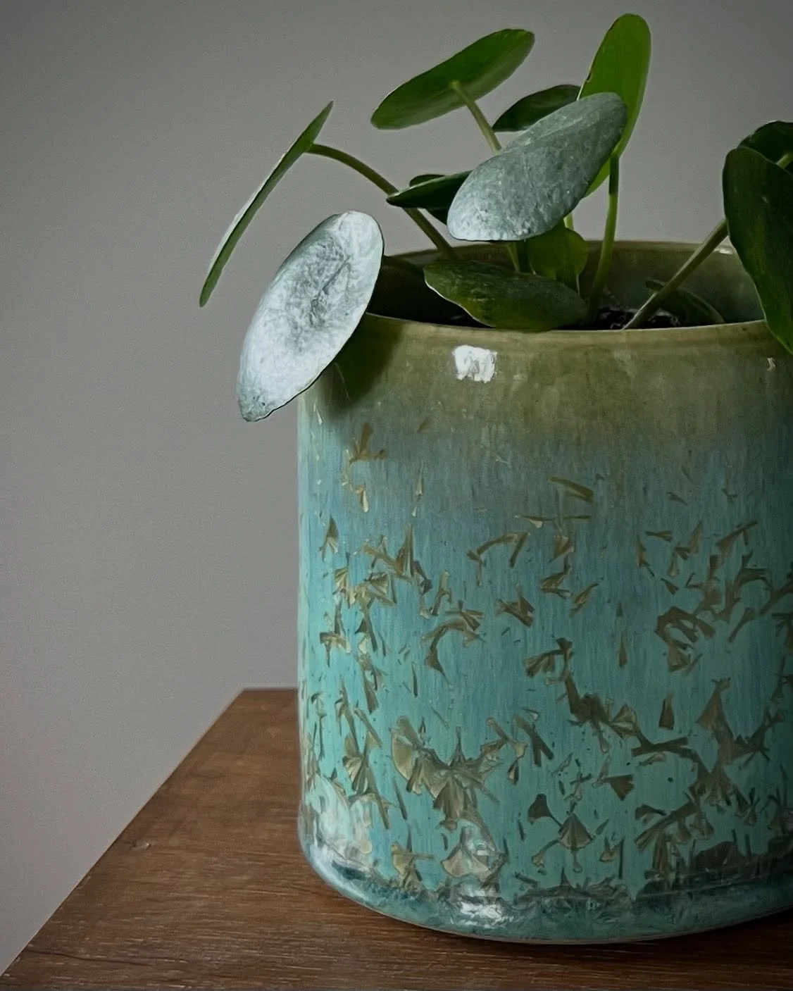 Last Dance for these who are currently @missiongalleryswansea 
(Re)discovering me | (Ail)ddarganfod fi finishes on the 25October. 

#vase
#vaseofflowers 
#greenvase 
#crystallineglaze 
#plantpots