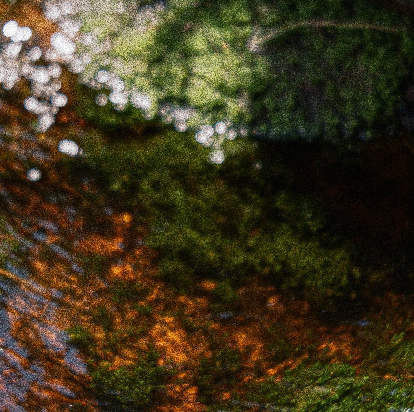"Wish" (2024), 30x30 cm, C-type print on Olmec Photo Lustre 260 gsm. Limited Edition of 20