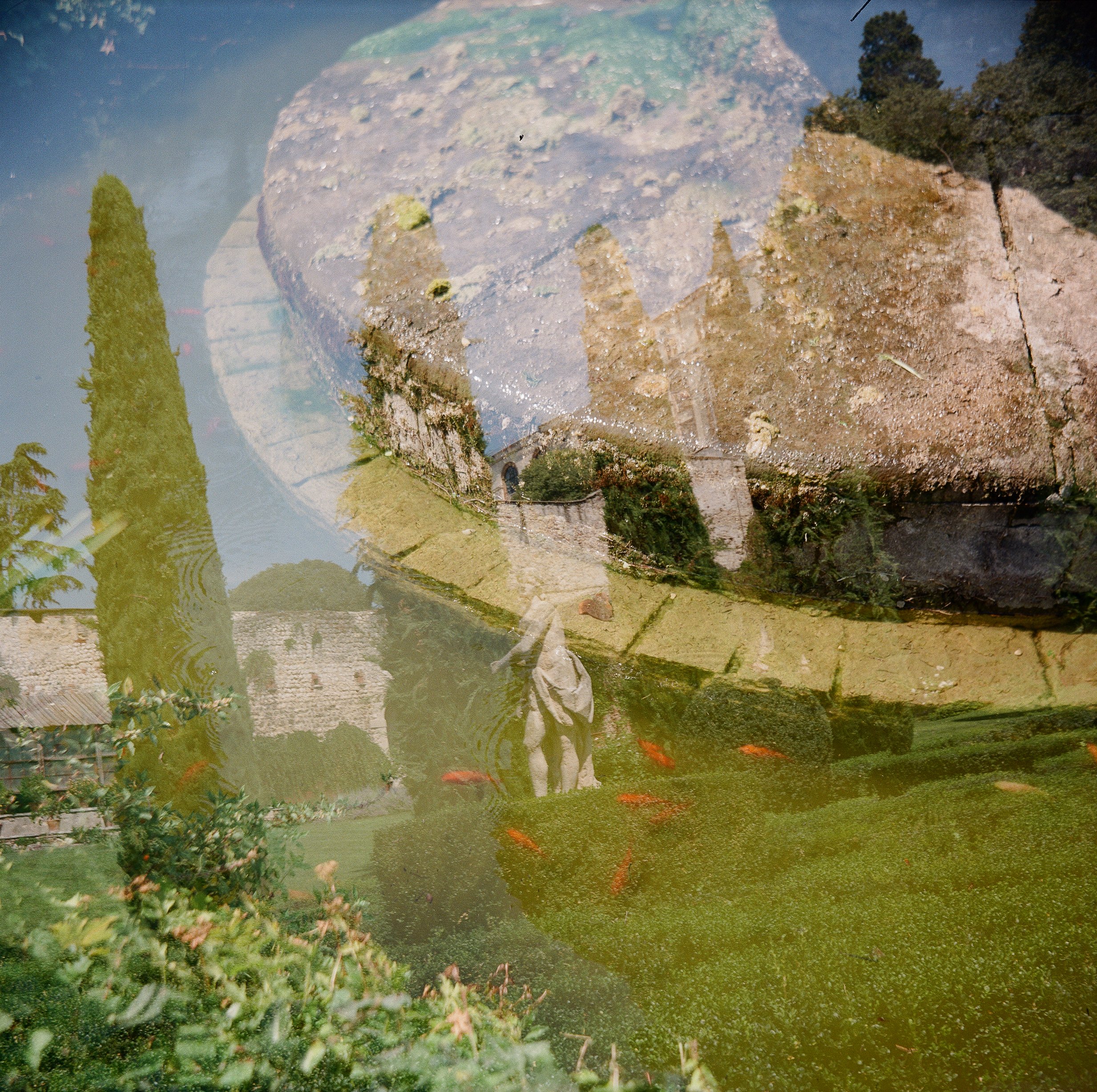 "The Garden" (2023), C-type print on Olmec Photo Lustre 260 gsm