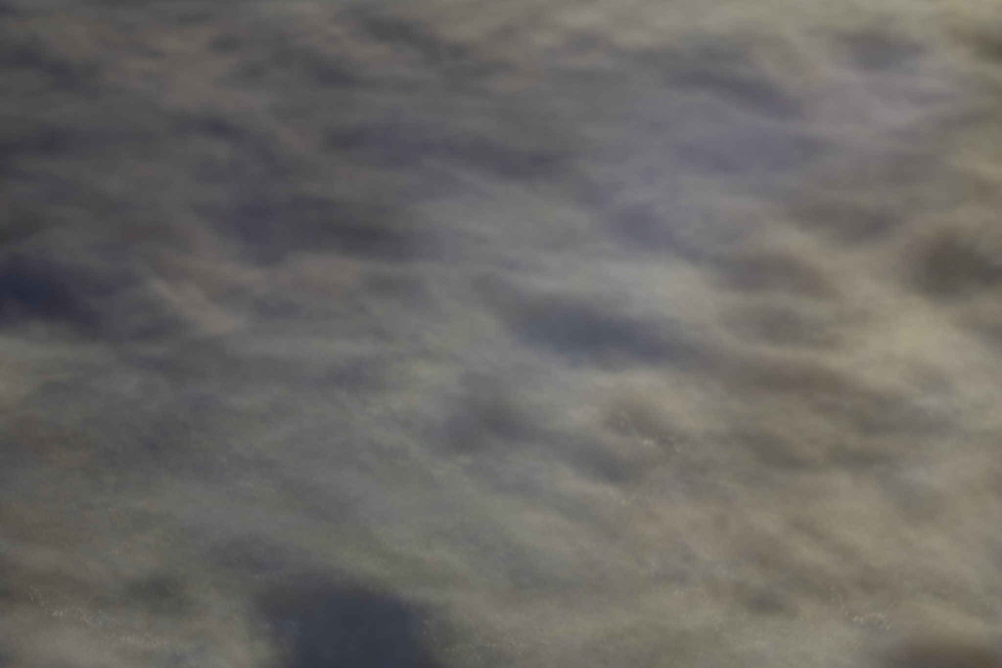 10.png