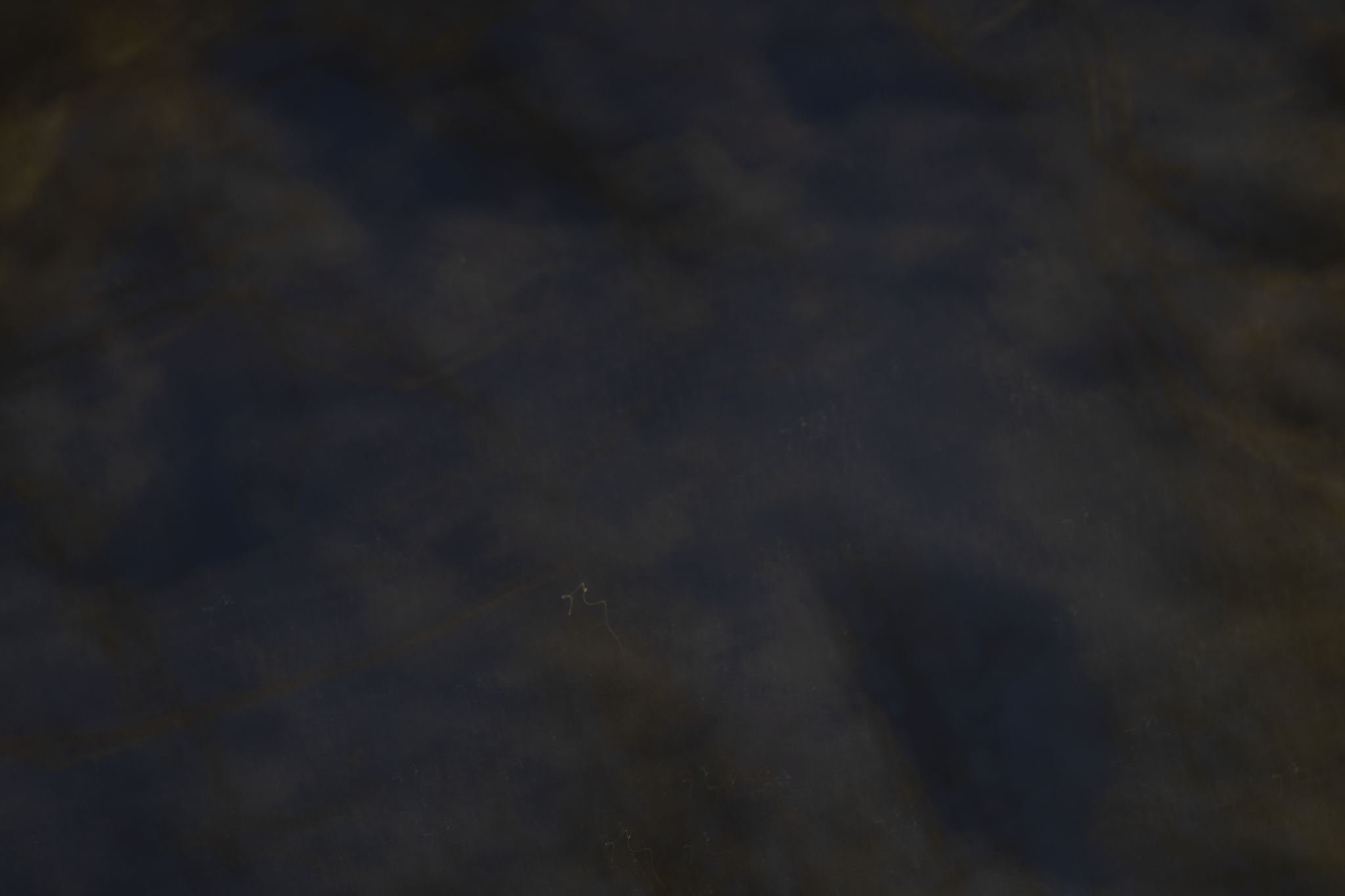 11.png