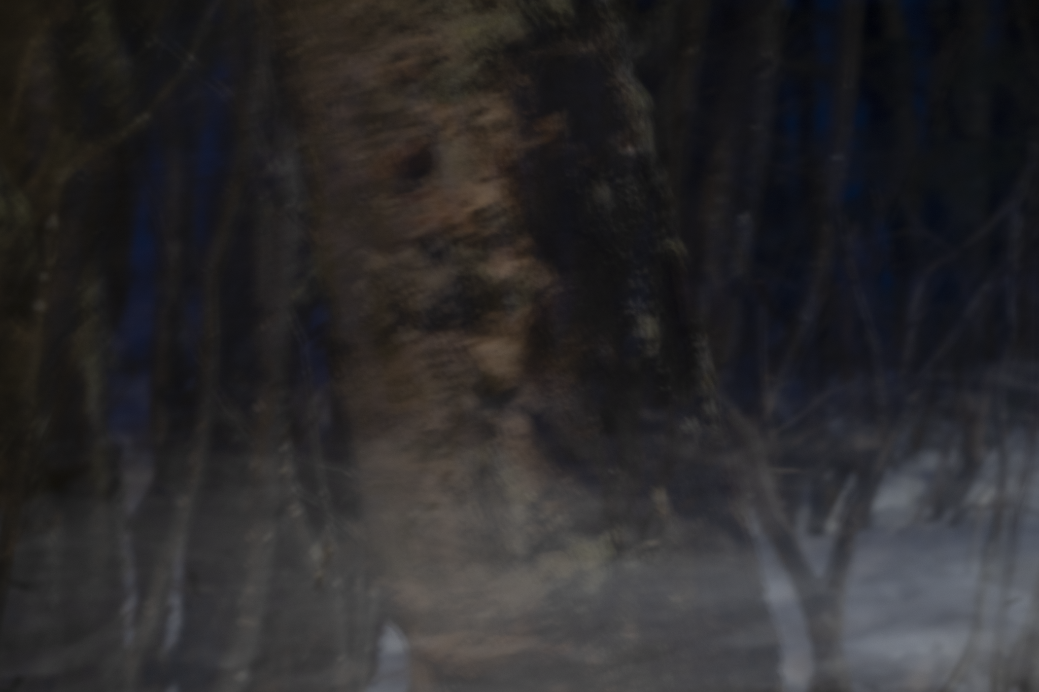 7.png