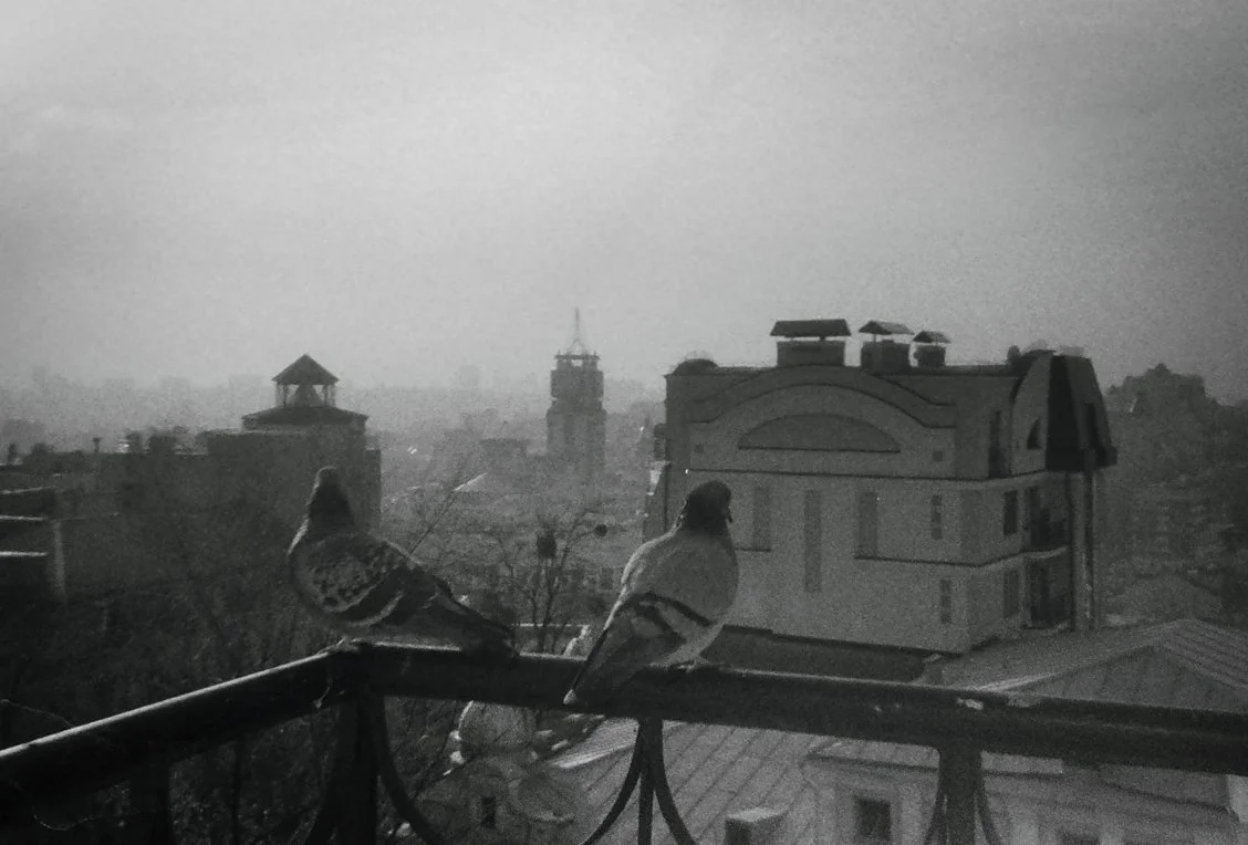 "Postcards from Kyiv" (2013)