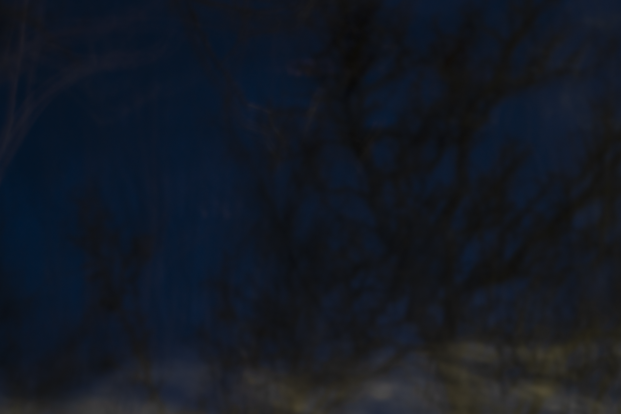 9.png