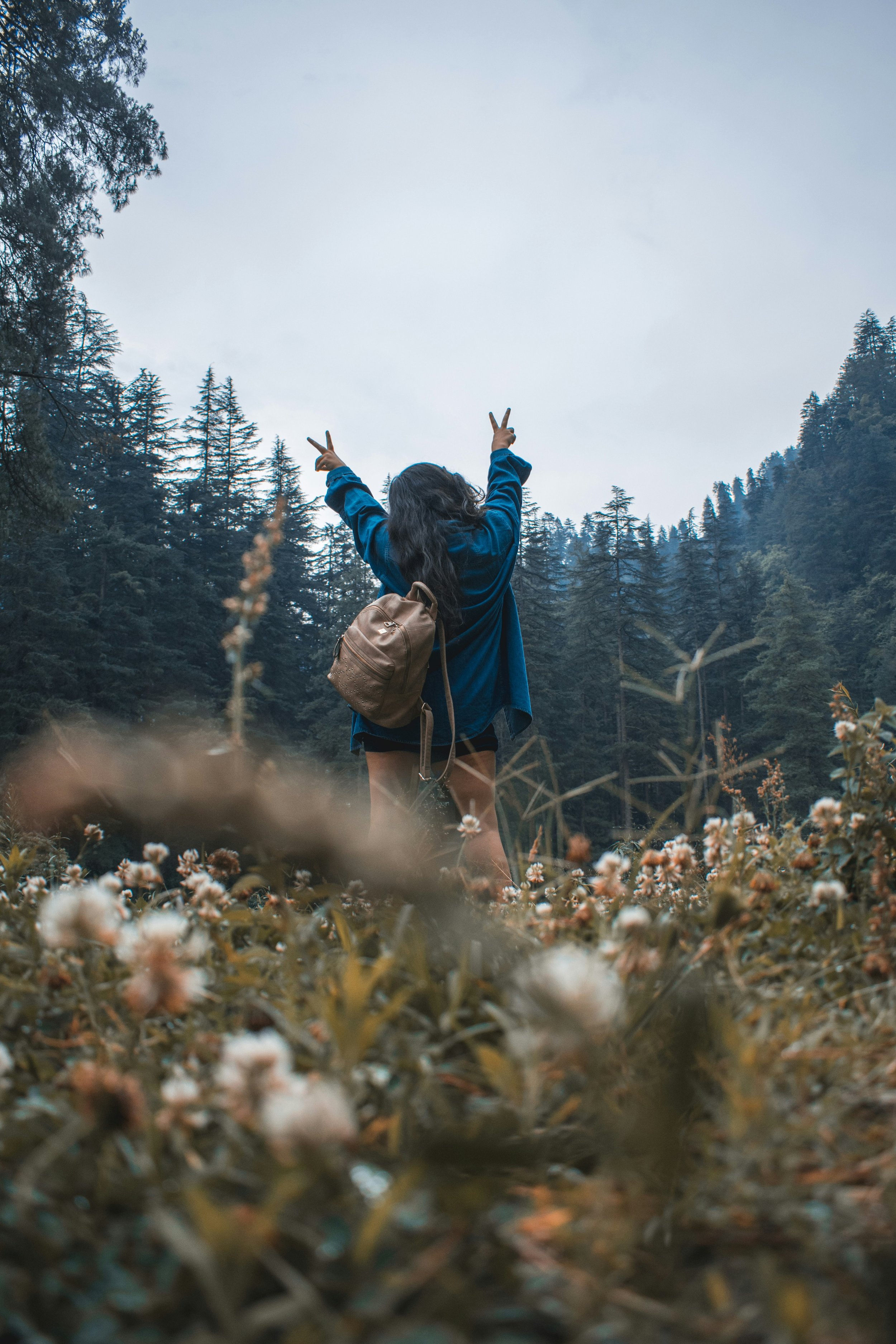aman-upadhyay-i8b6phQUujs-unsplash.jpg