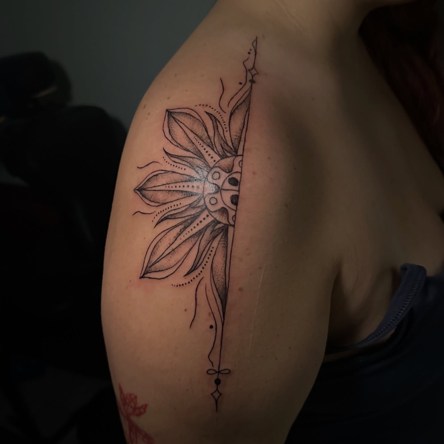 Island in the sun 🏝️