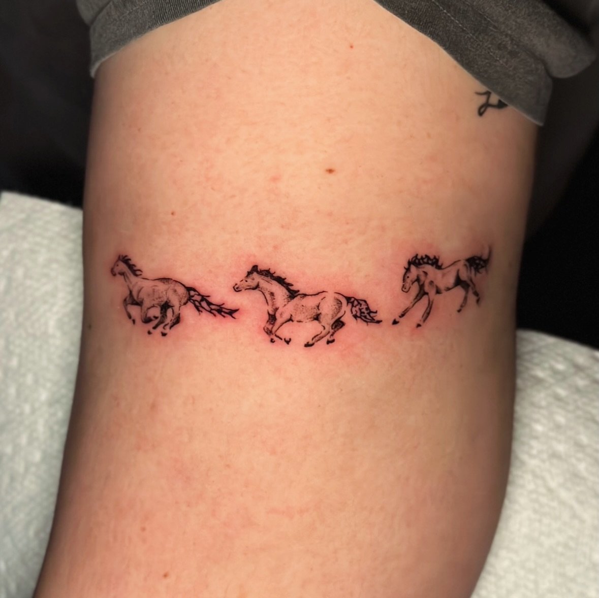 &ldquo; &lsquo;Hey&rsquo; is for horses! &rdquo;

Thanks for coming back to the shop for another tat, @mikaelaa13 🤠