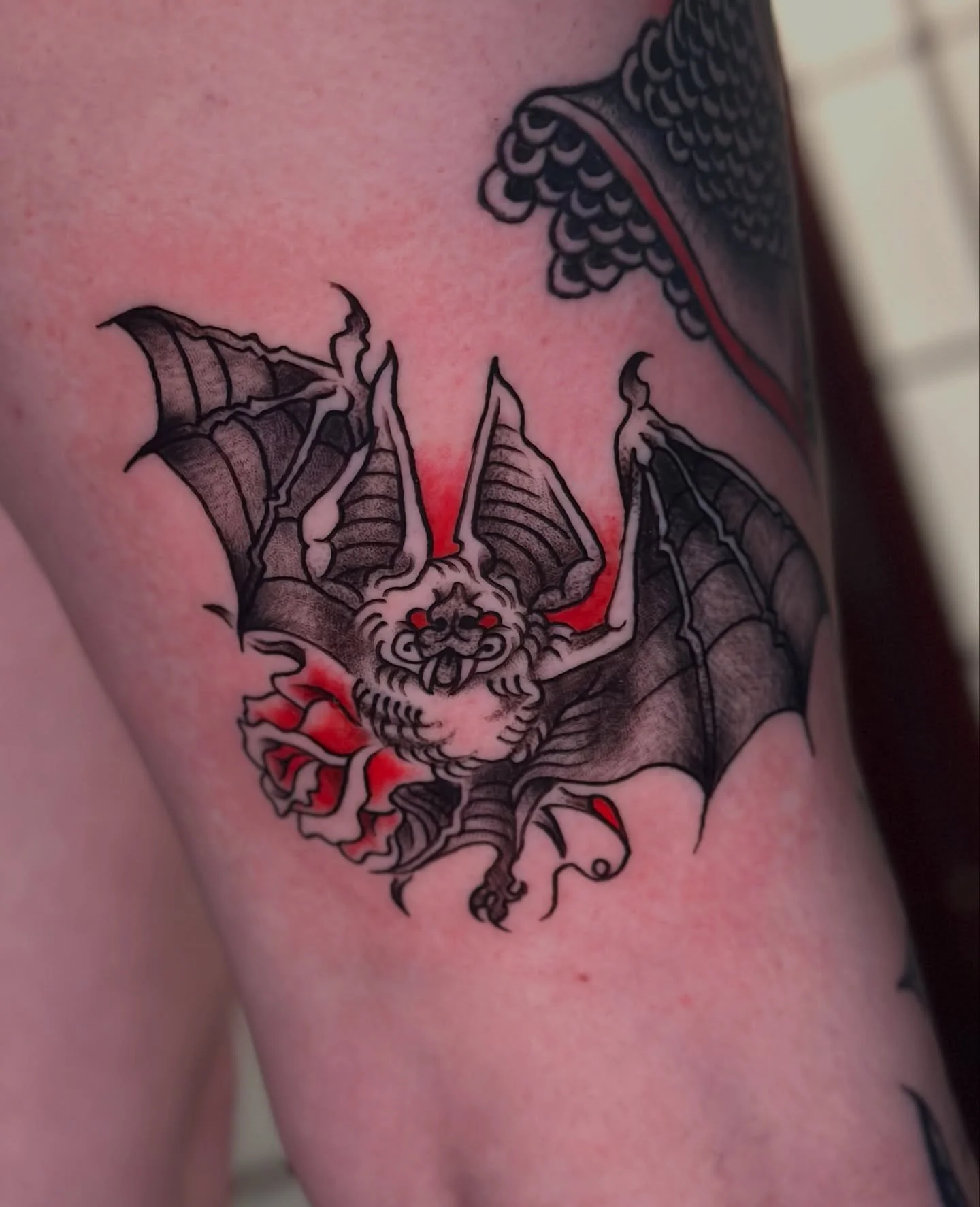 Another one for @mallorayyy_ 🦇 thanks for coming back 🌹