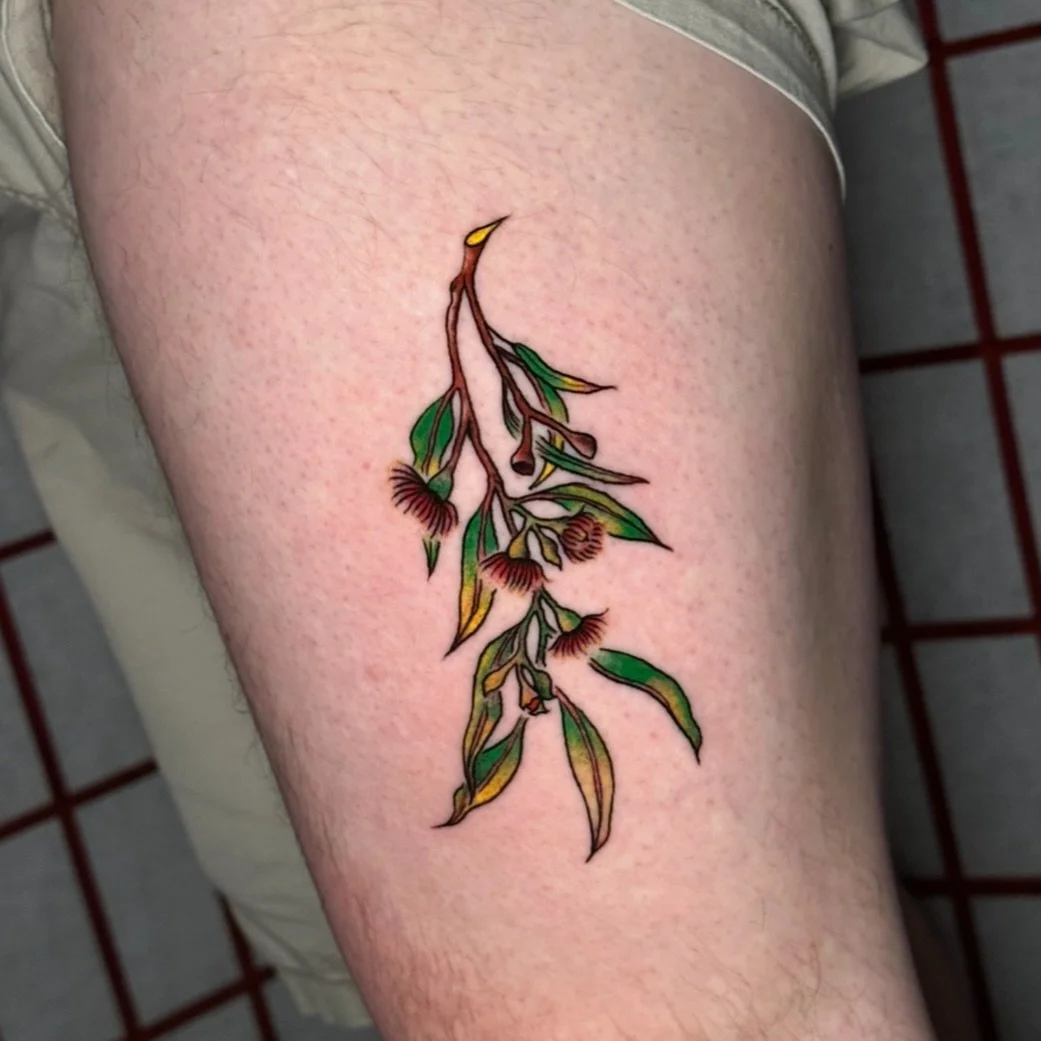 Eucalyptus and gum nut walk-in ! 🌱 

Happy to take on your tattoo ideas. Don&rsquo;t have any? Then pick one of my flash designs 🤠