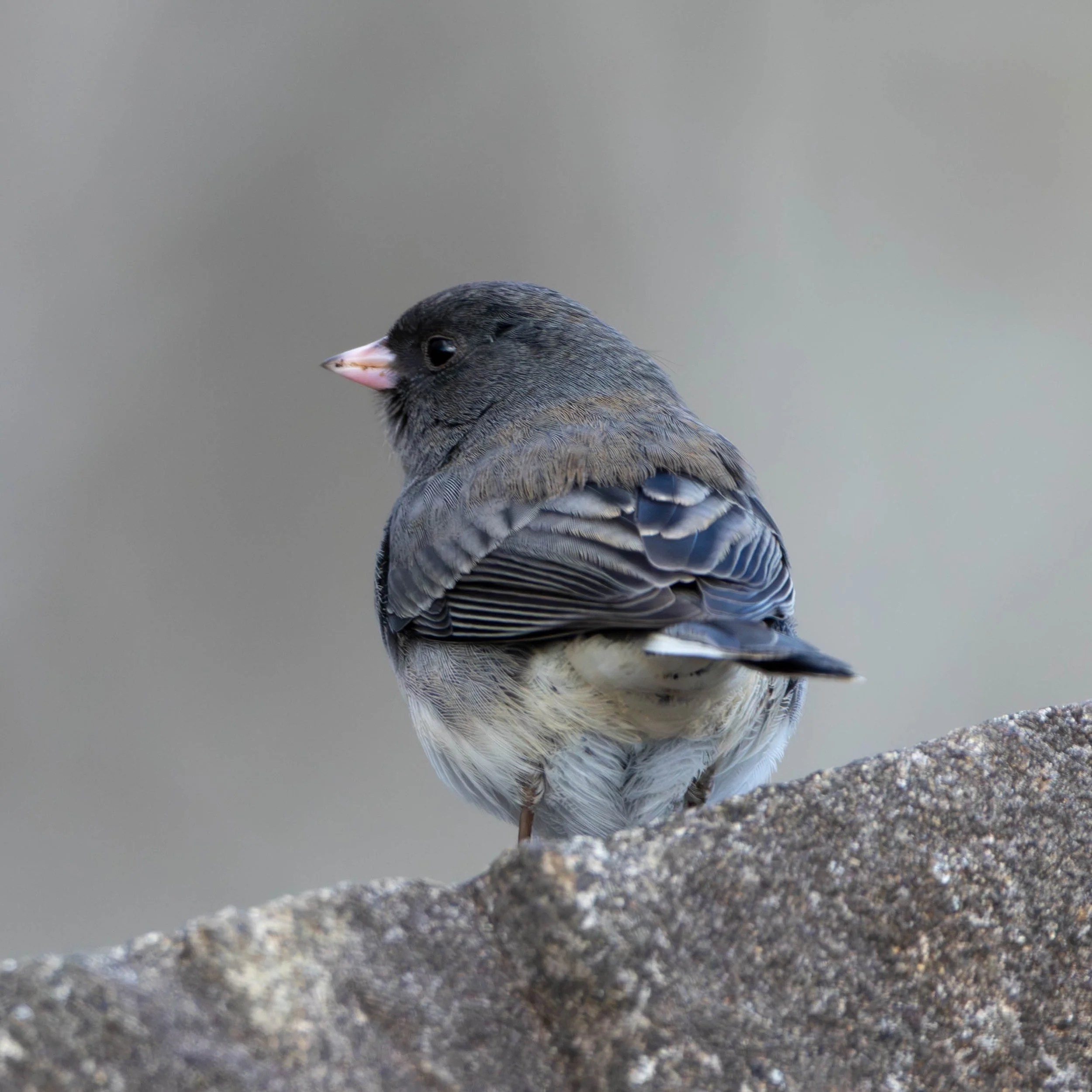 Day 3 Pics (29 of 33).jpg