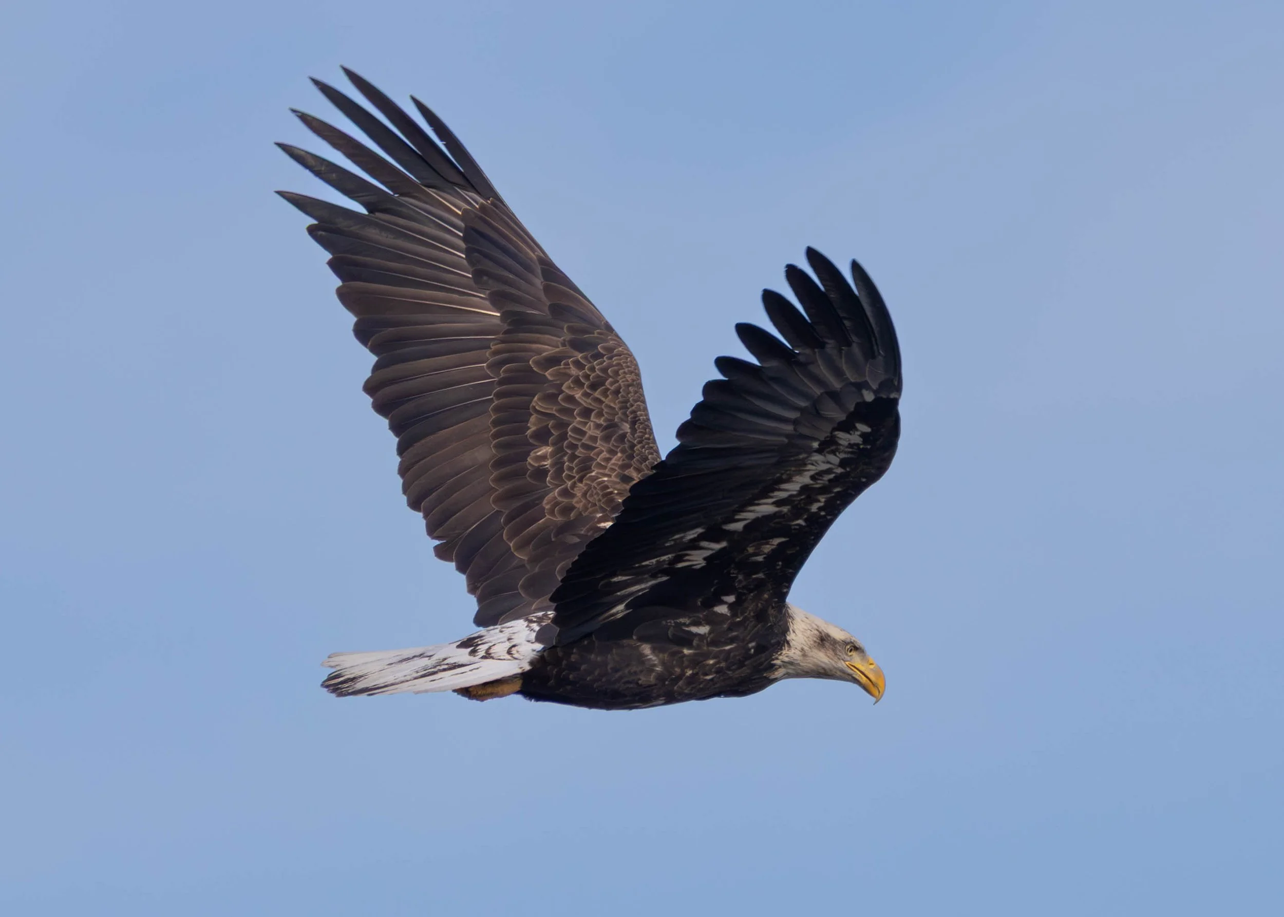 Day 3 Pics (9 of 12)-2.jpg