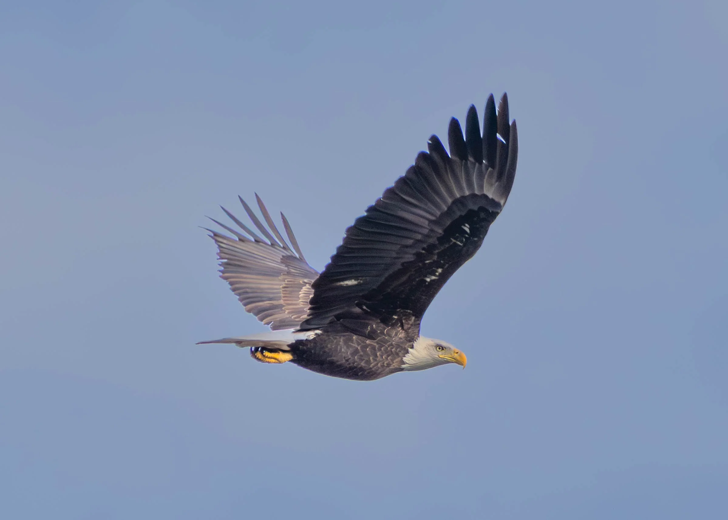 Day 3 Pics (8 of 12)-2.jpg