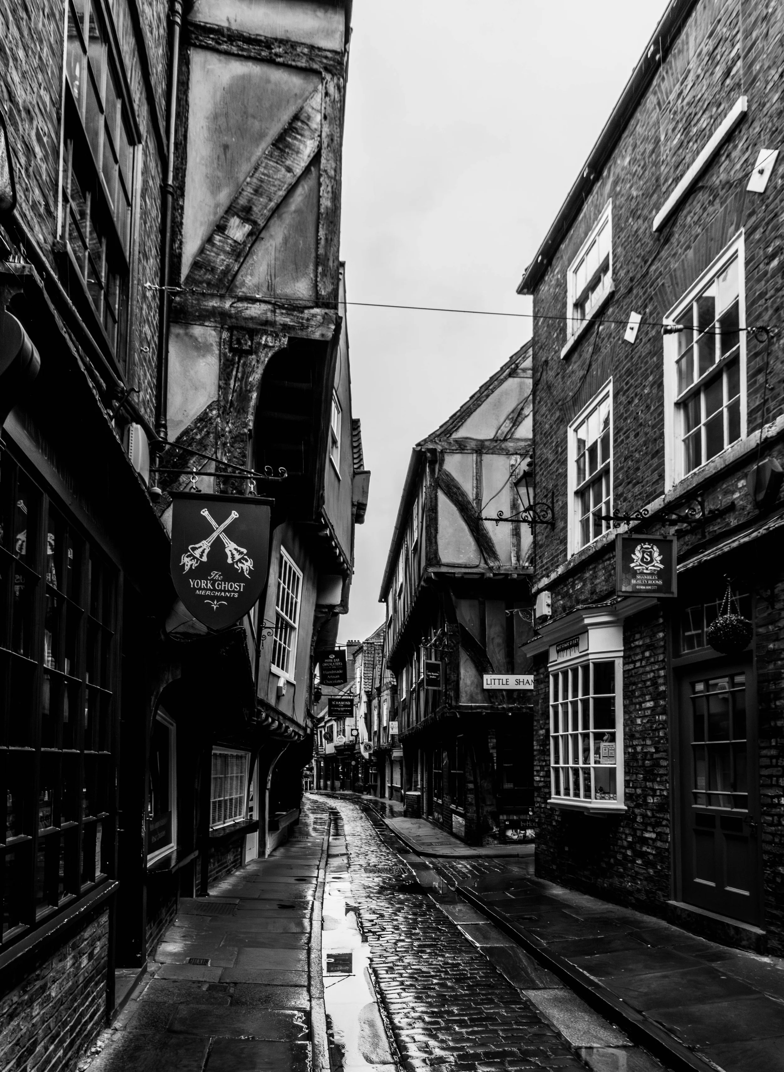 Yorkshire 2026 (5 of 13).jpg