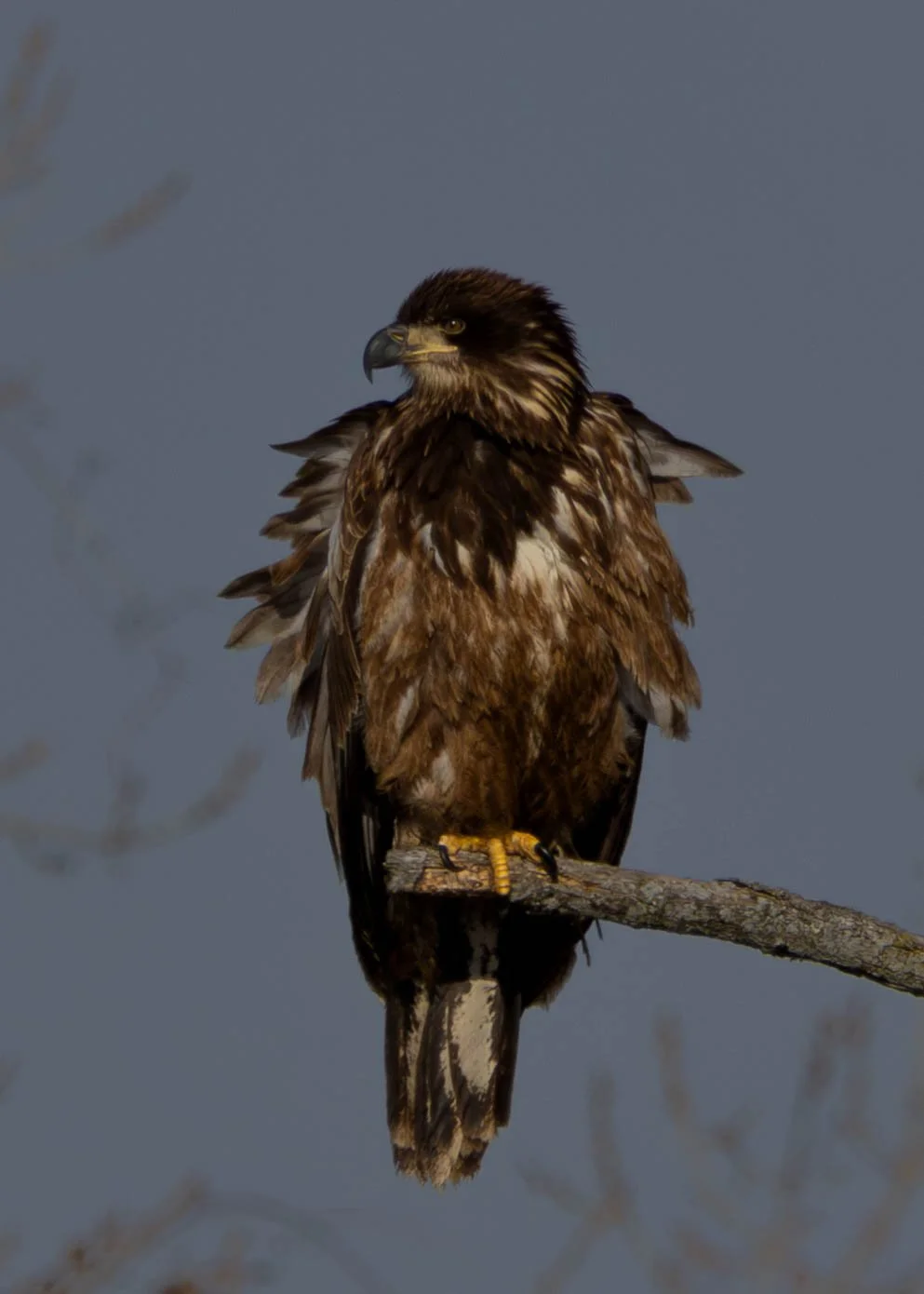 Day 3 Pics (2 of 12)-2.jpg