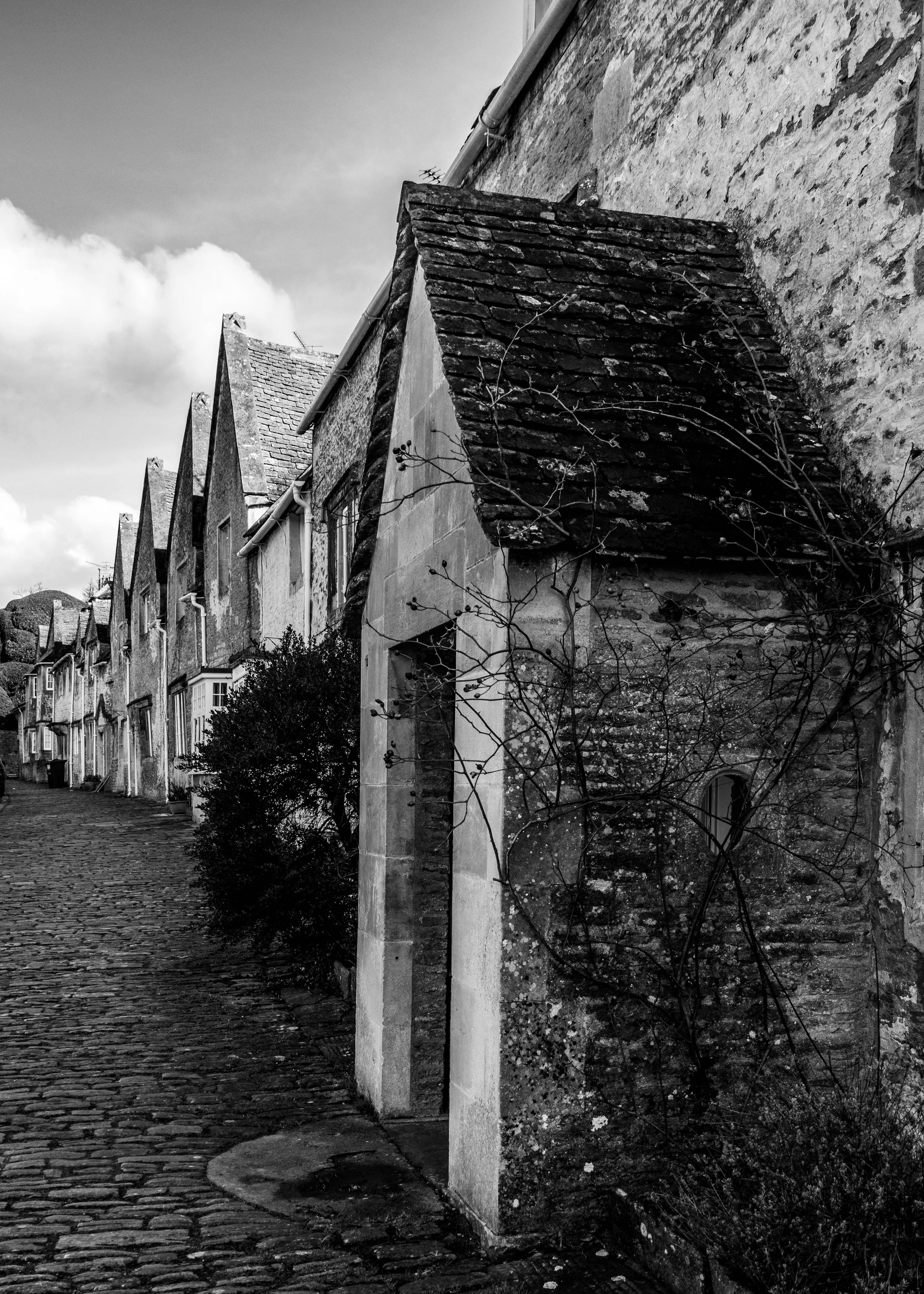 Corsham Terrace (1 of 1).jpg