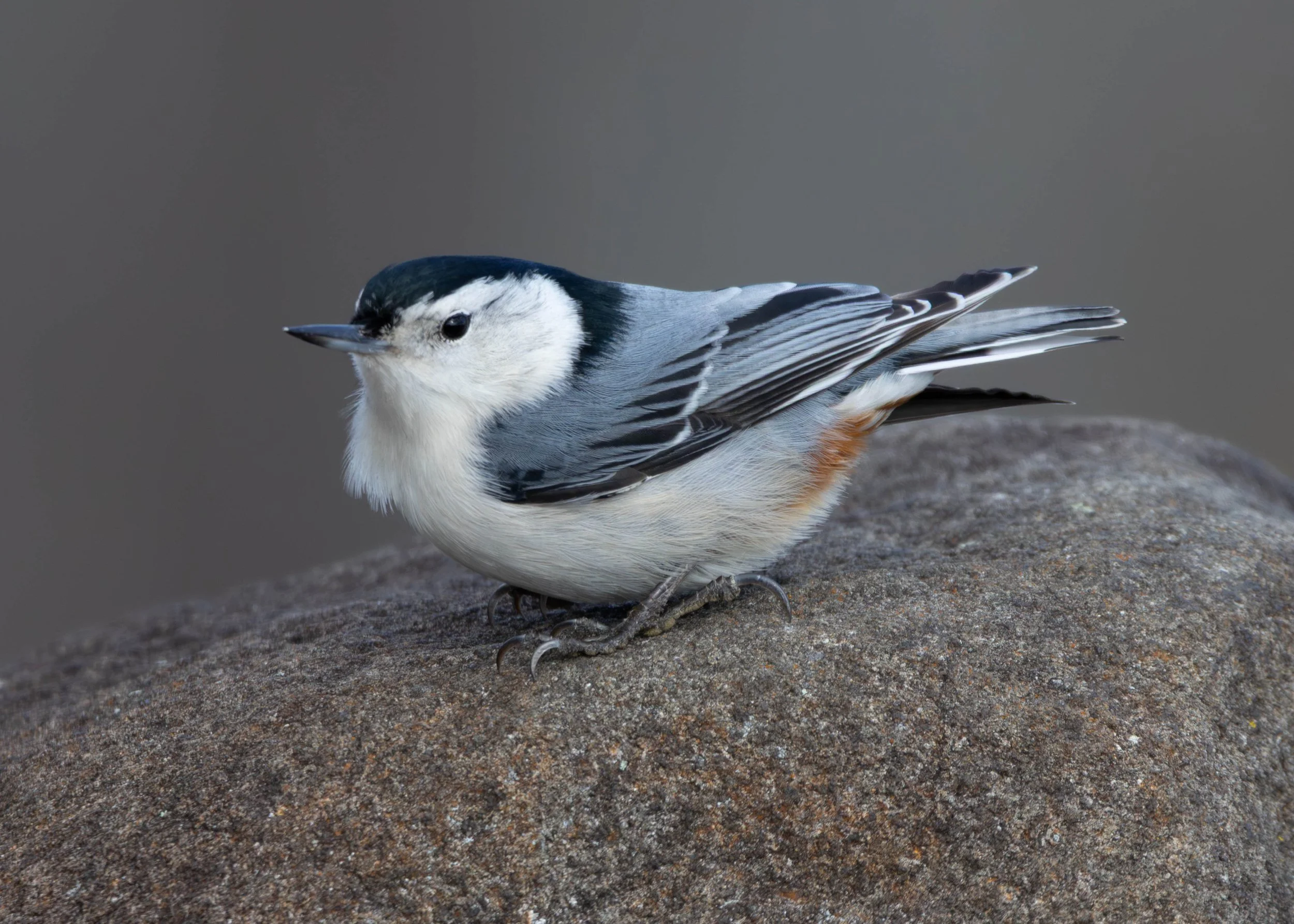 Day 3 Pics (30 of 33).jpg