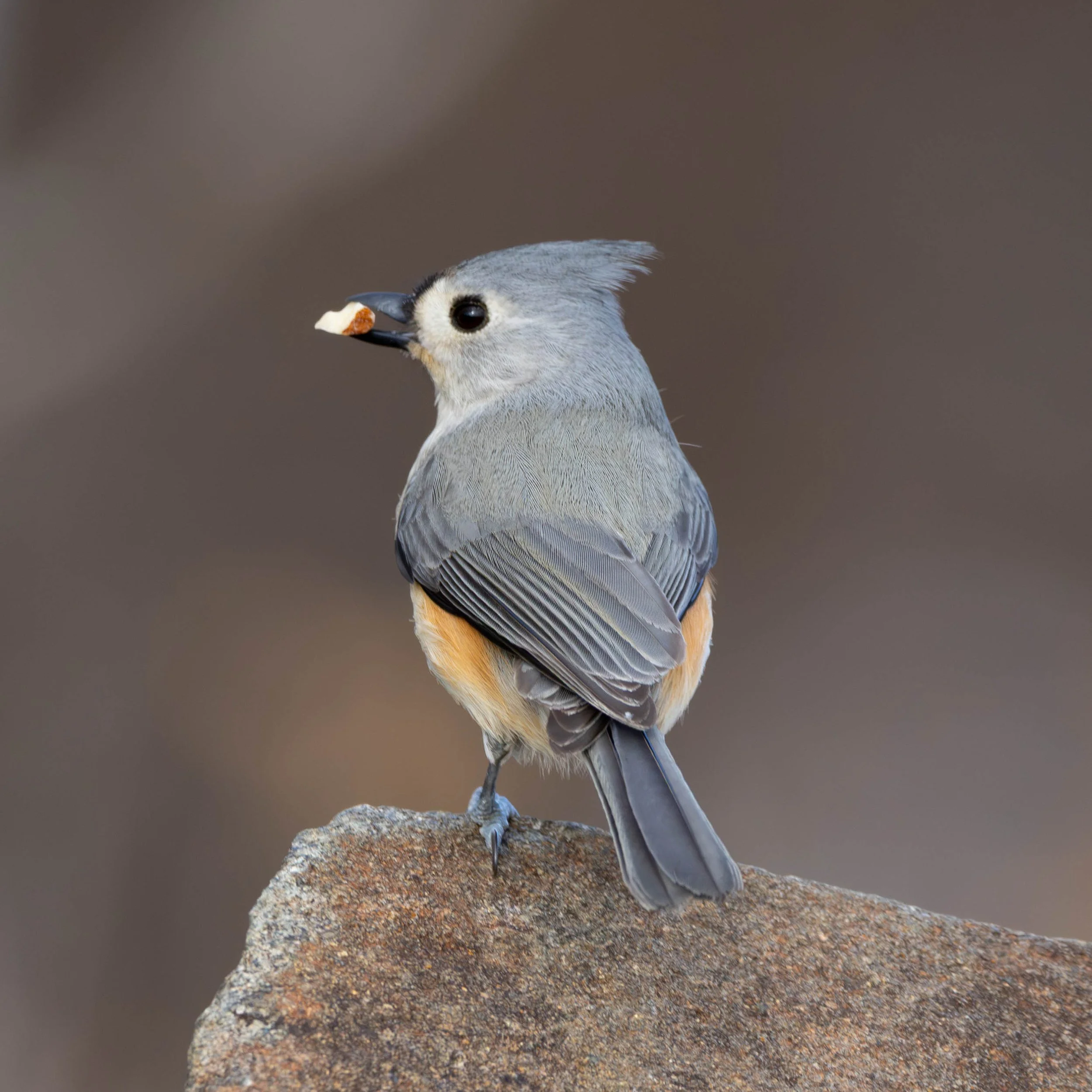 Day 3 Pics (28 of 33).jpg