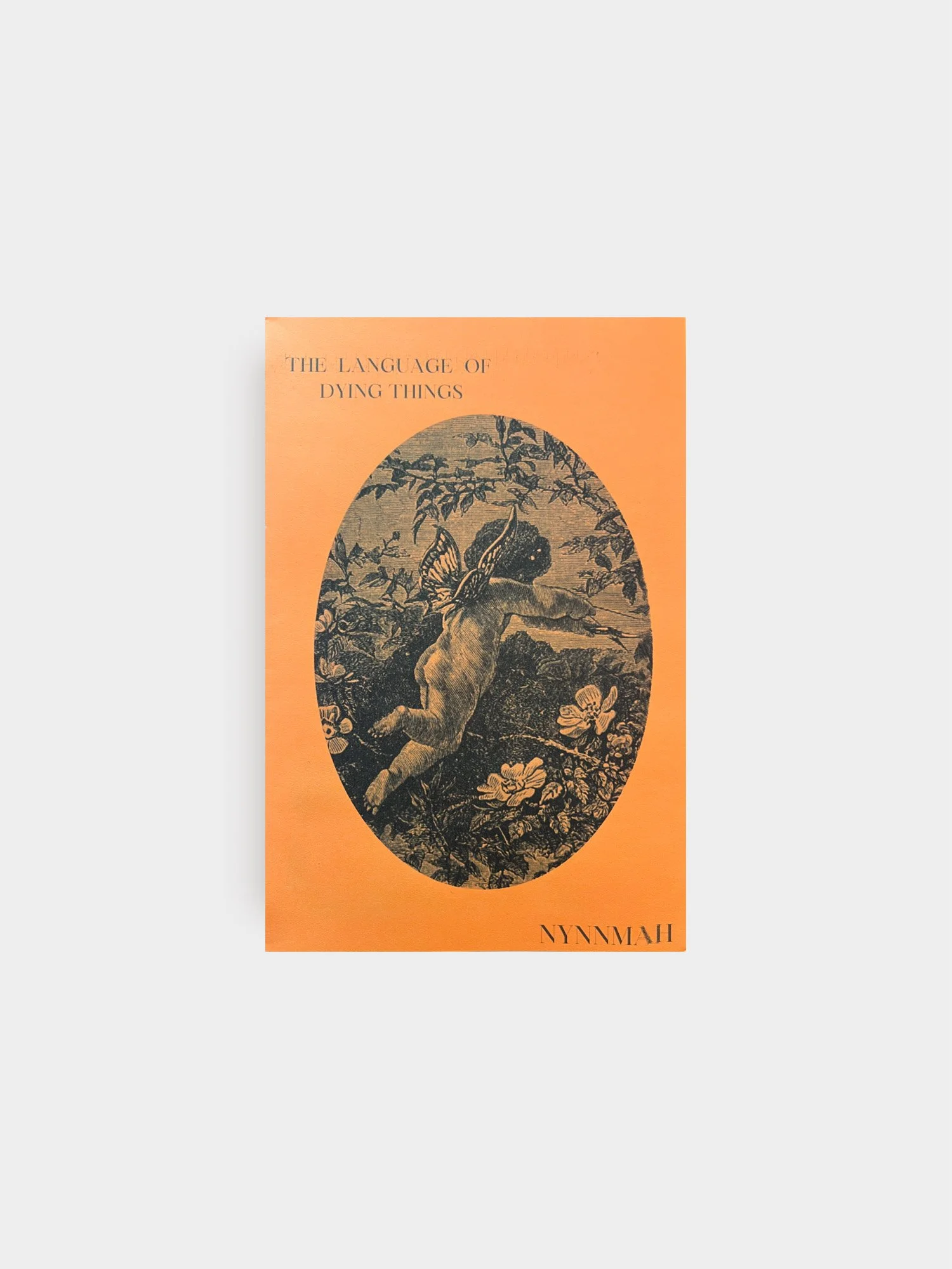 The Language of Dying Birds