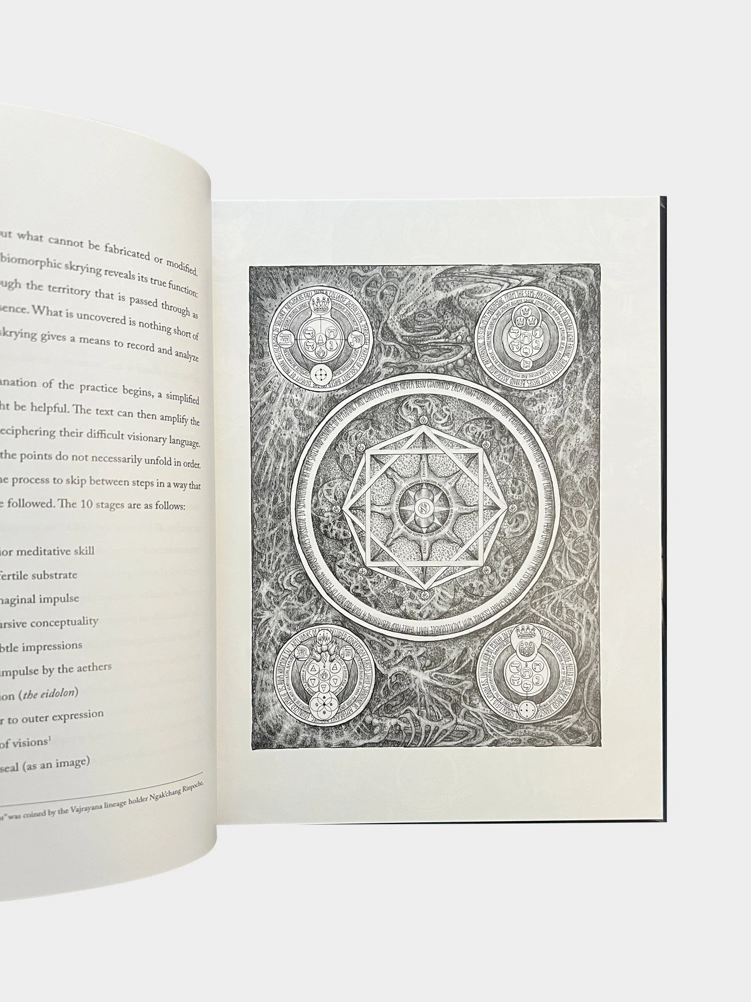 Biomorphic_04.jpg