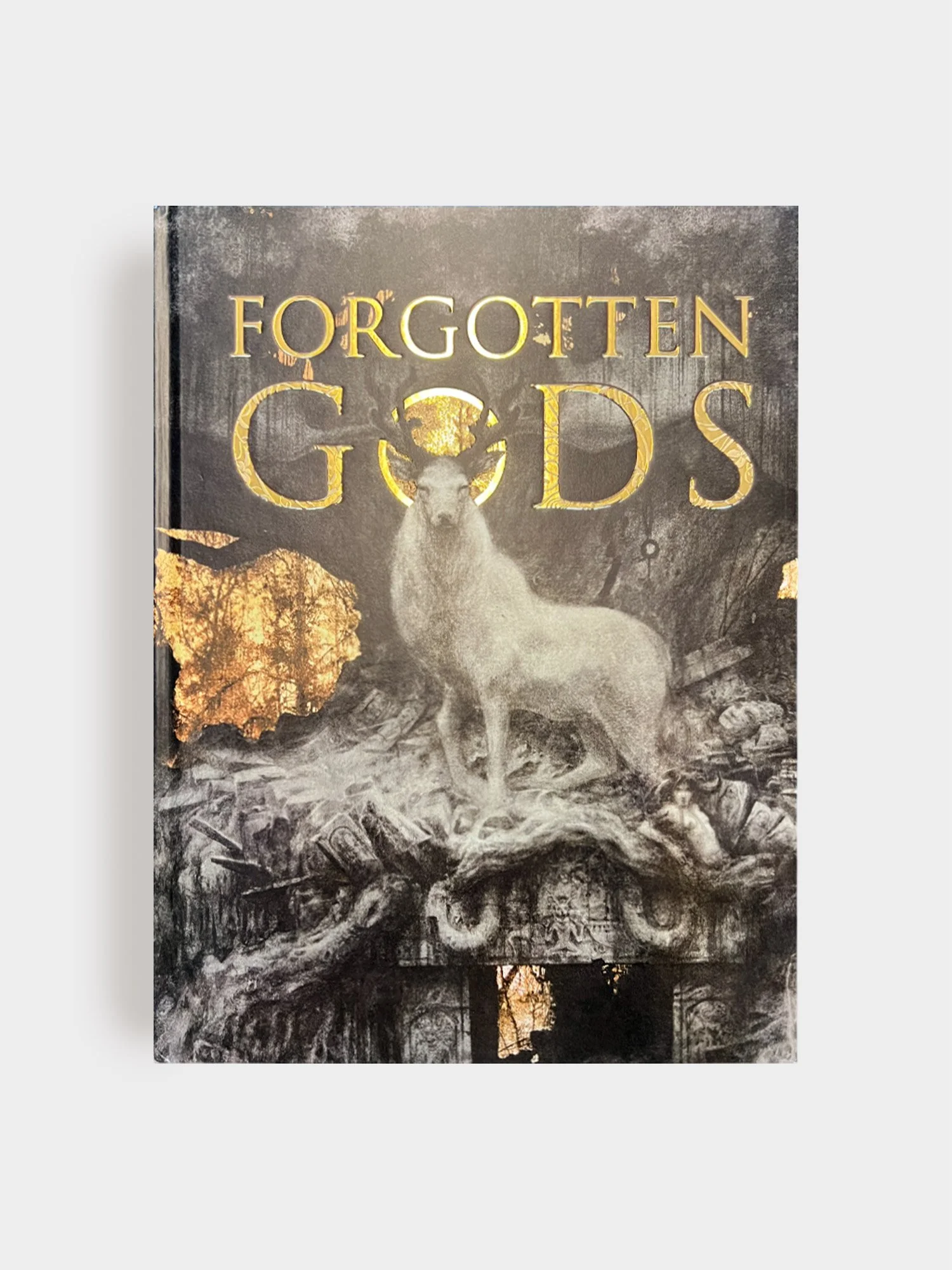 FORGOTTEN-GODS_01.jpg