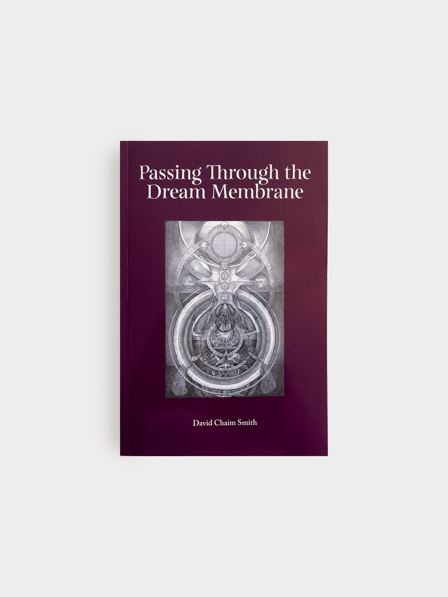 Passing-Through_01.jpg