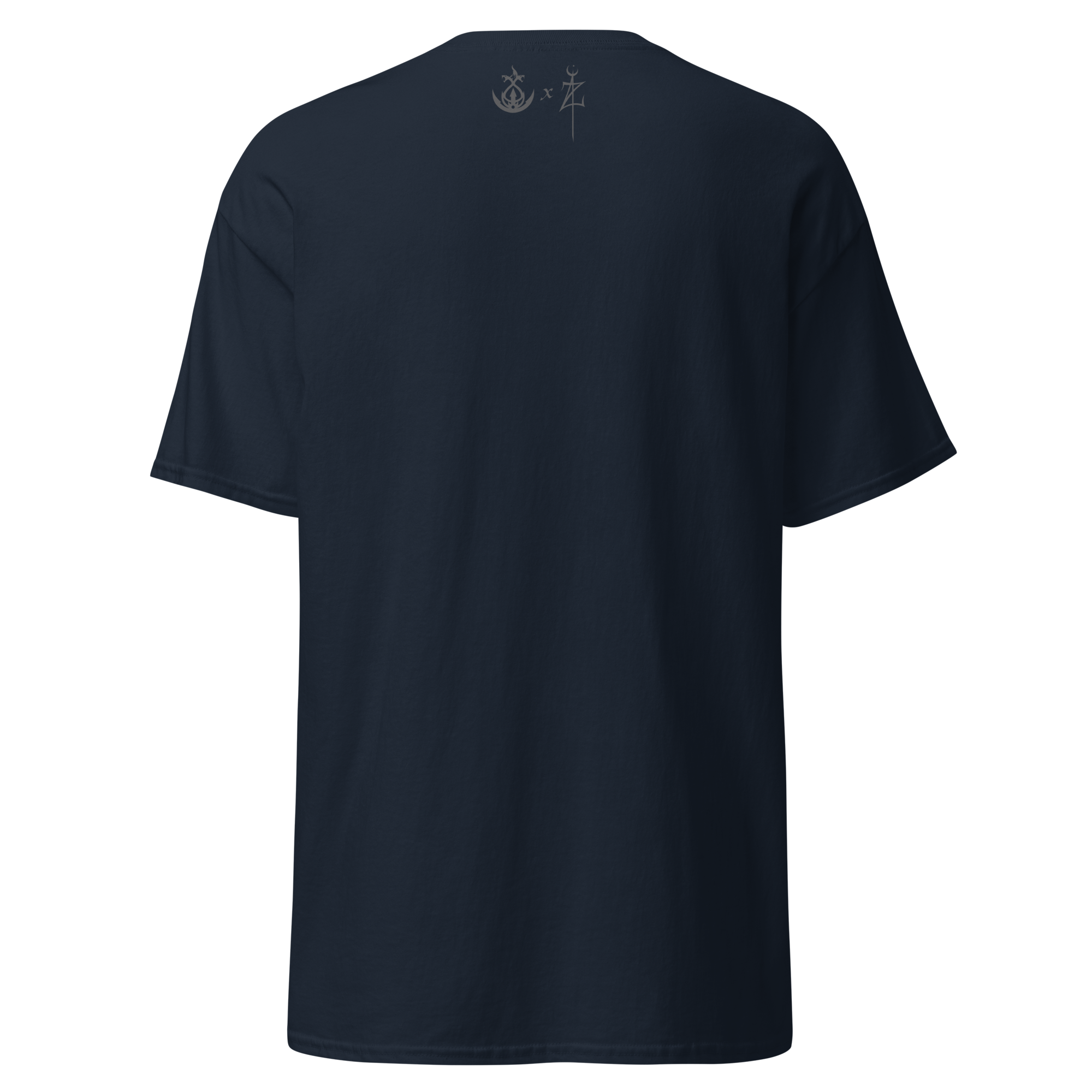 unisex-classic-tee-navy-back-66db488756df5.png