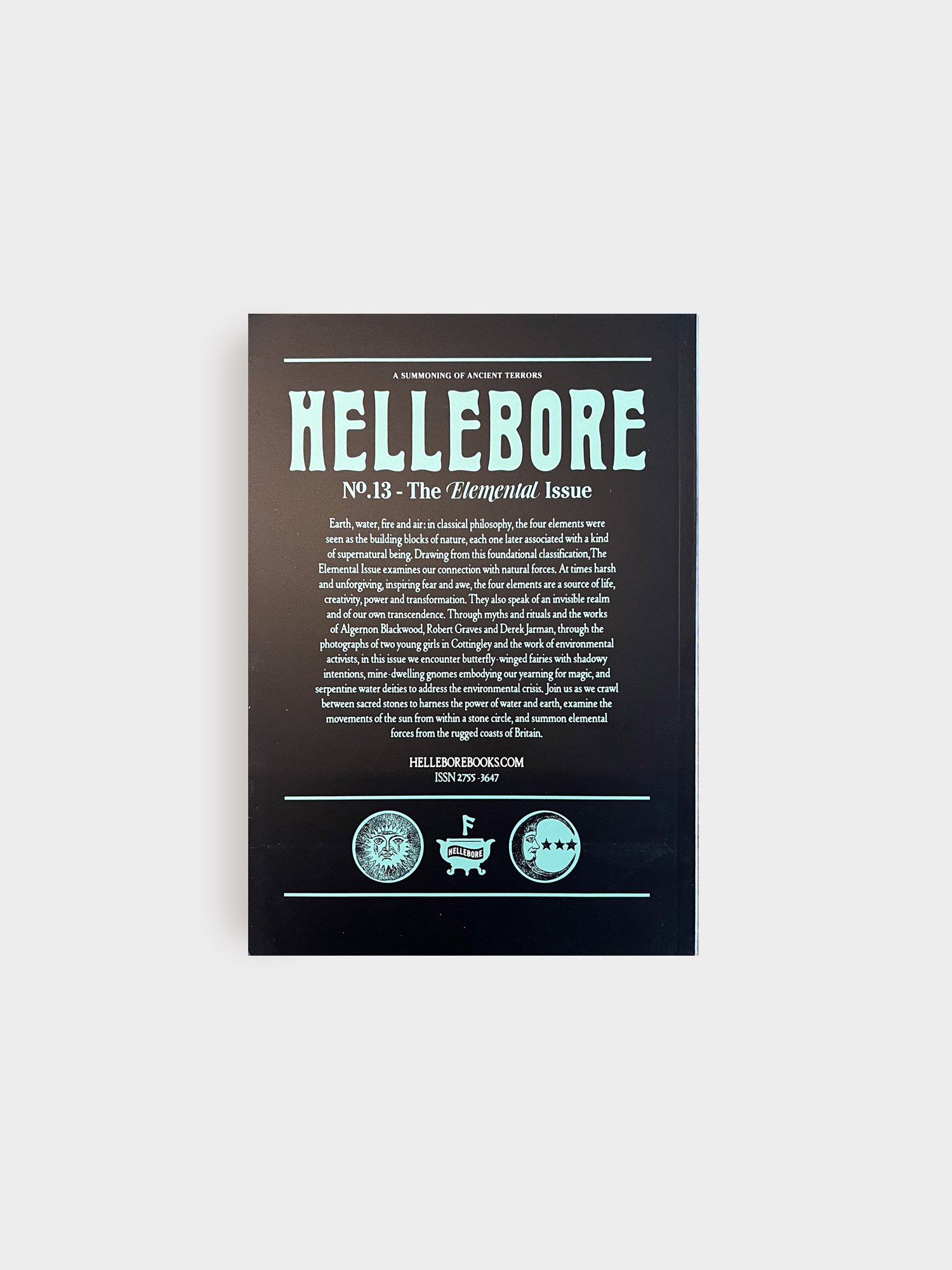 Hellebore_no13_02.jpg
