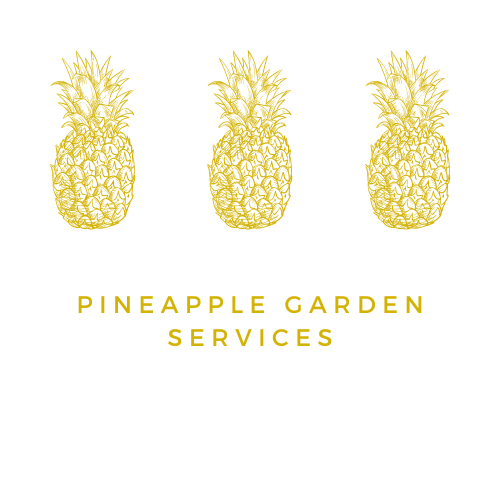 Pineapple Tree &amp;  Garden Services - High Peak Tree Surgeon