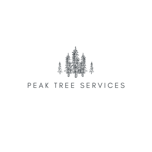 Peak Tree Services - High Peak Tree Surgeon