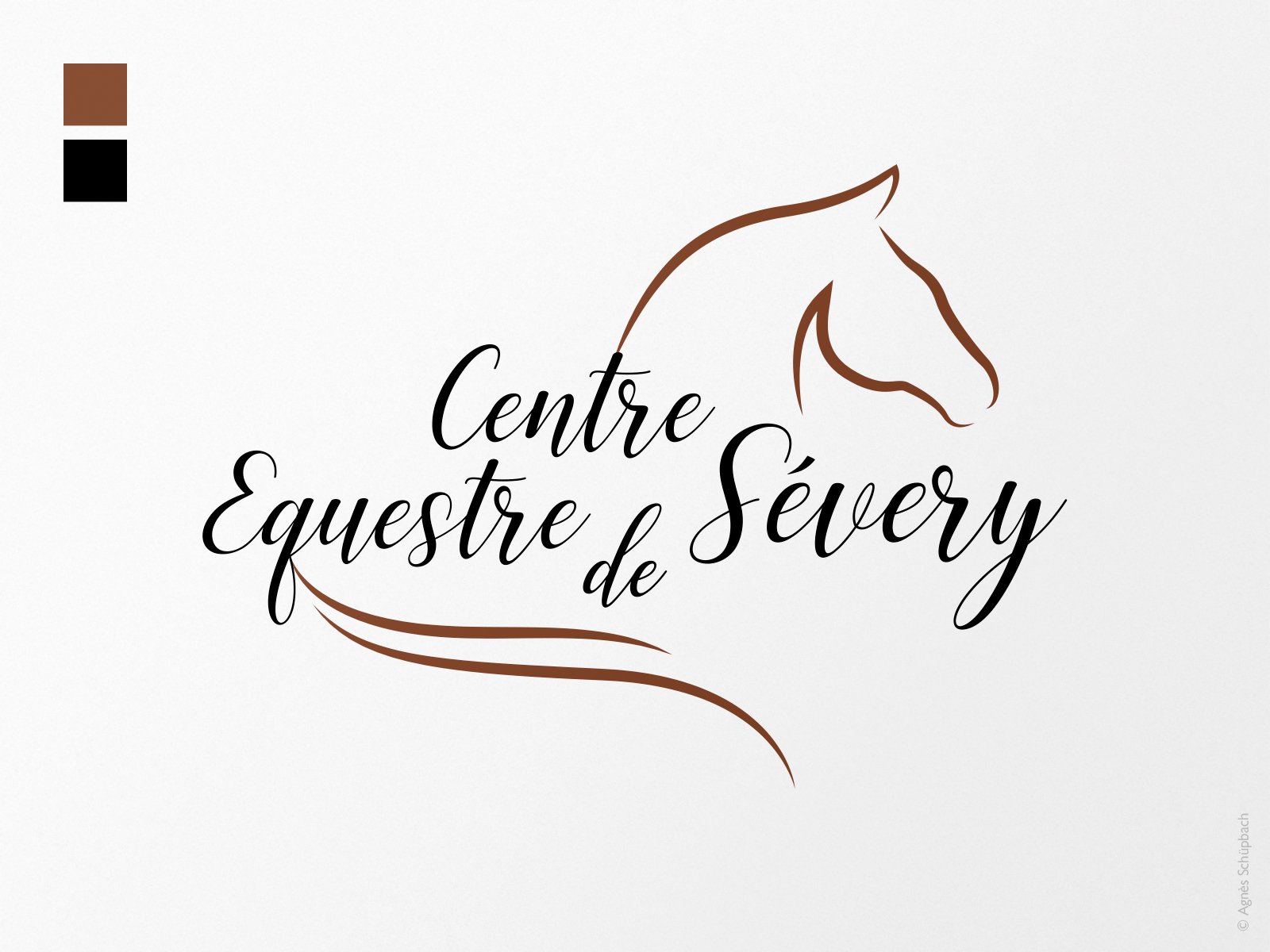 Création du logo pour le Centre Equestre de Sévery.