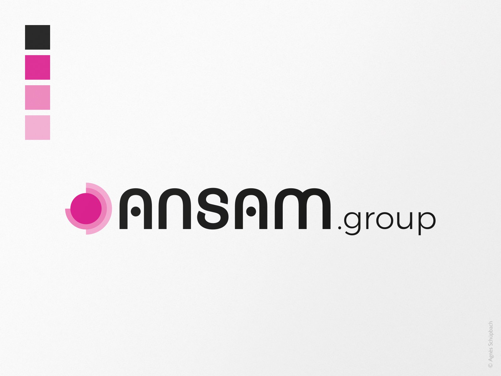 Création de l’identité du groupe Ansam. Un groupe d’entrepreneurs spécialisé dans les domaines de l’ICT, de la digitalisation et de l’entrepreneuriat.