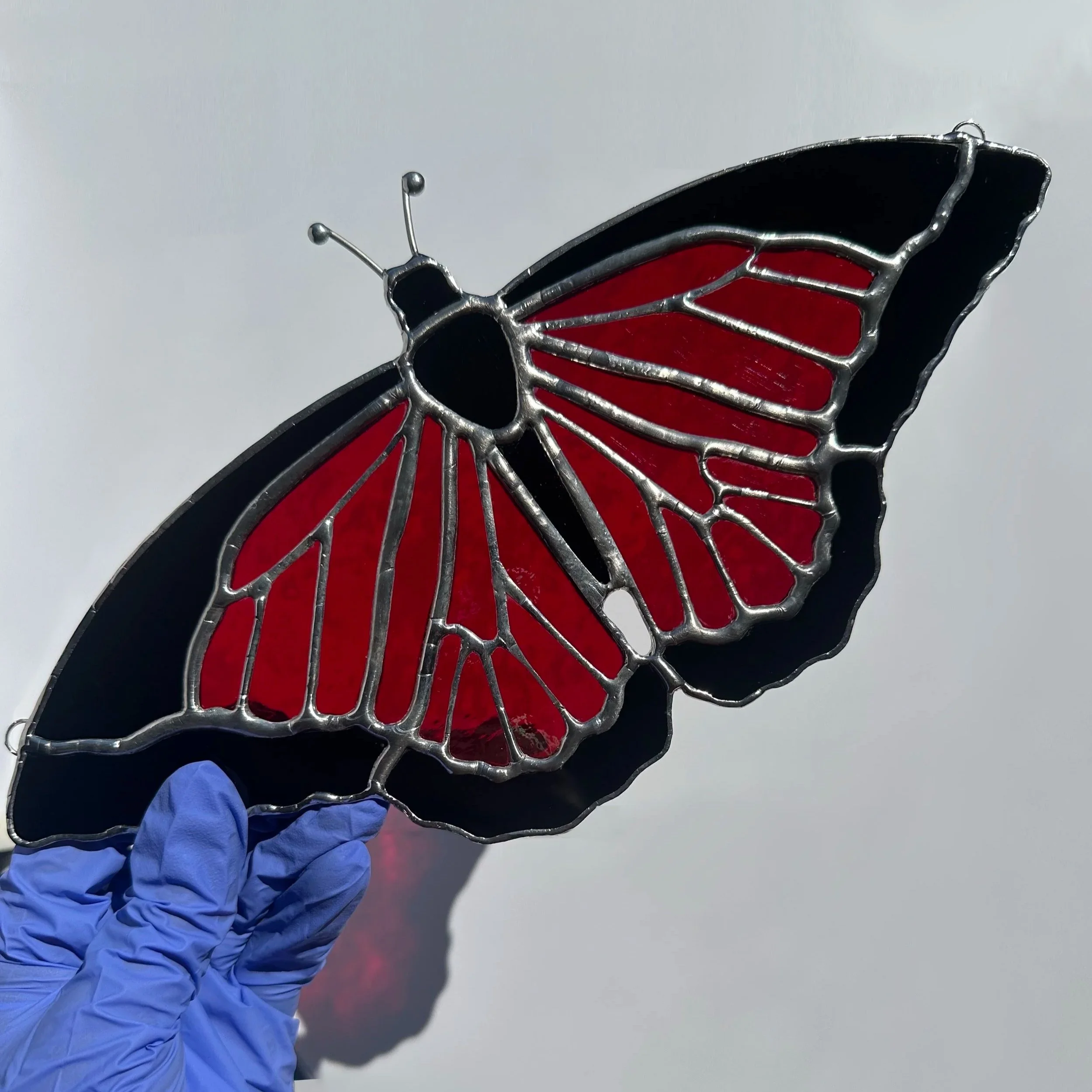 Irid Butterfly in Crimson