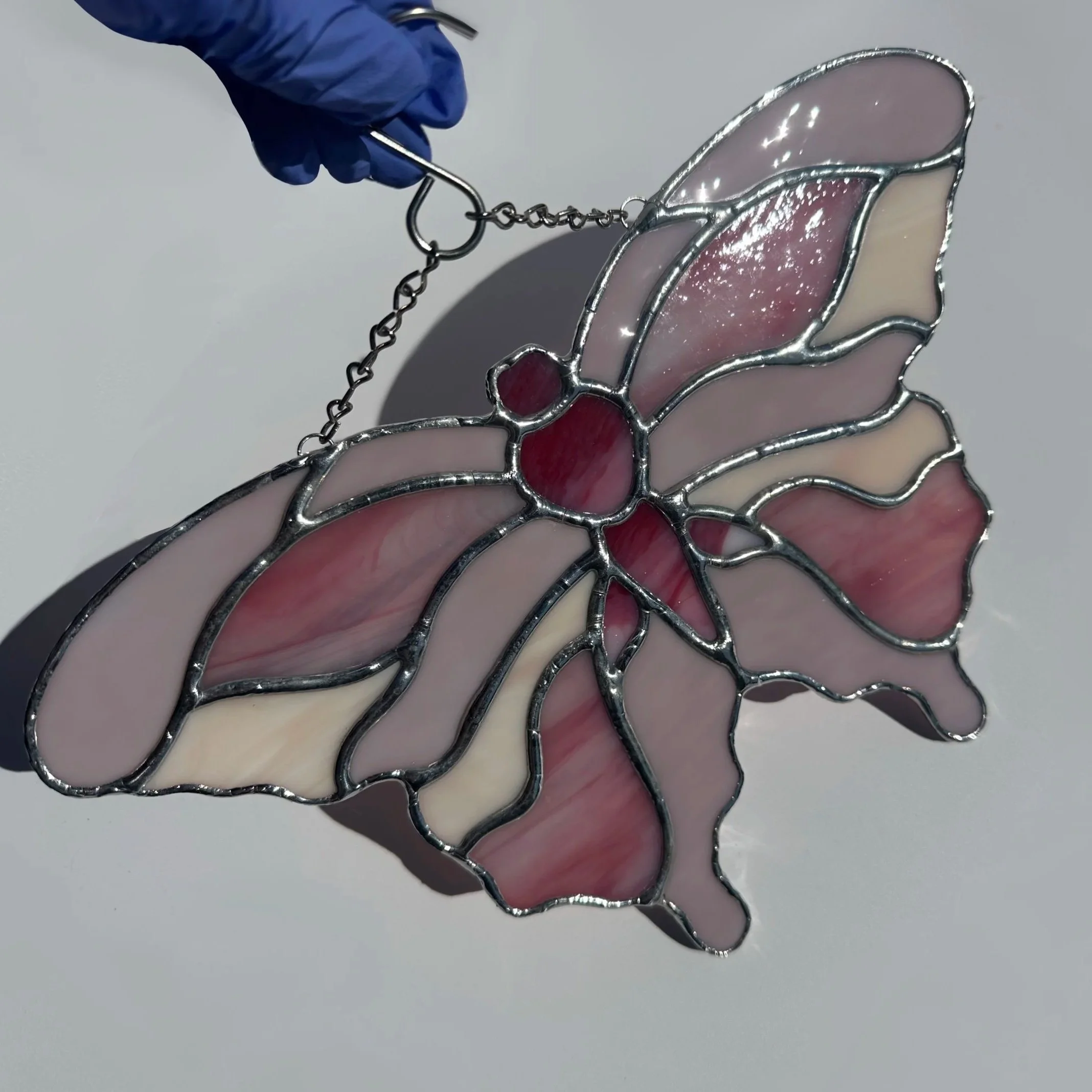 Scallop Butterfly in Pink