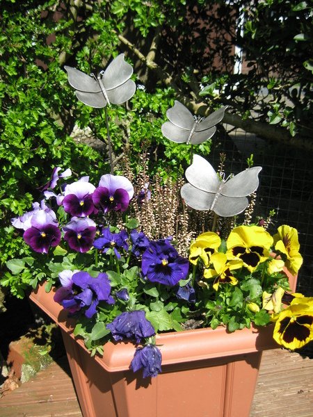 butterflies-stainless-steel-garden-sculpture.JPG