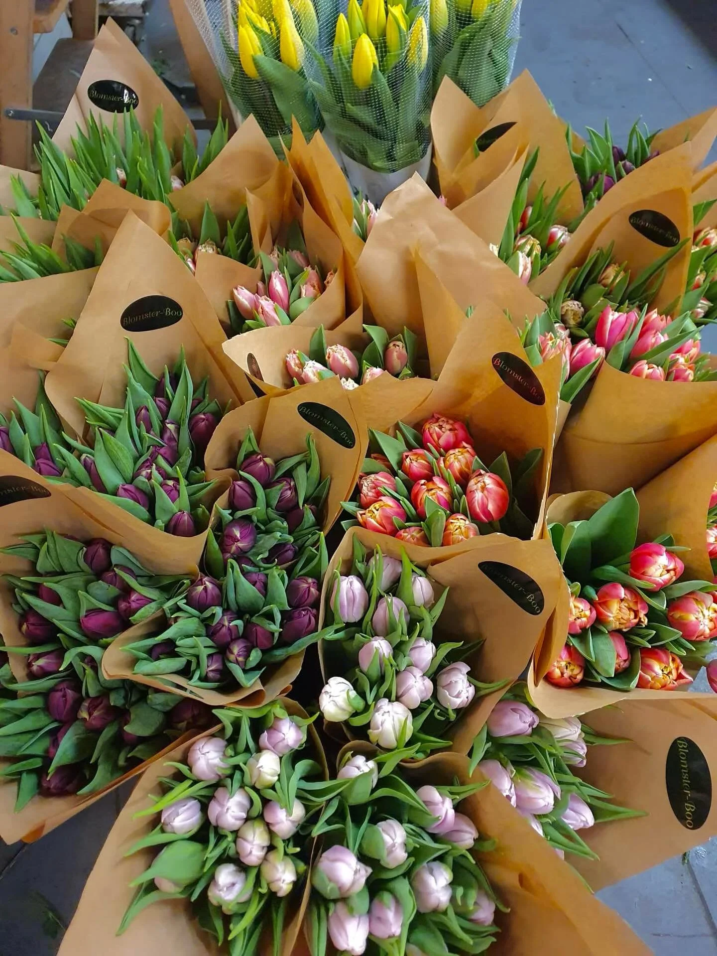 Trots vinterrusket har v&aring;ren redan flyttat in hos Blomster Boo 🌷 Tulpaner i m&auml;ngder och buketter som lyser upp din vardag. Perfekt &auml;ven som fredagsbukett inf&ouml;r helgen. V&auml;lkommen in ✨