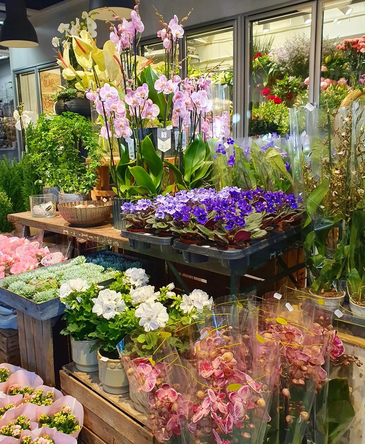 Vi vill tacka alla fantastiska kunder som gjort 2025 till ett magiskt &aring;r f&ouml;r oss 💛 Gott nytt &aring;r ✨🥂