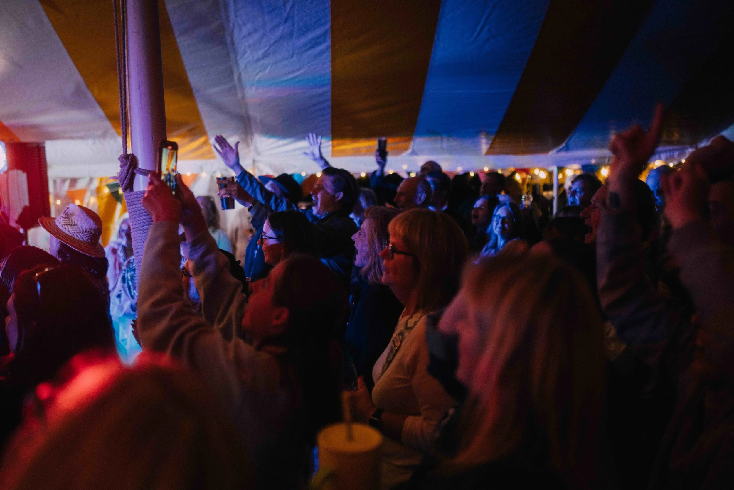Crowd of people dancing and enjoying live music under a colorful tent at night.