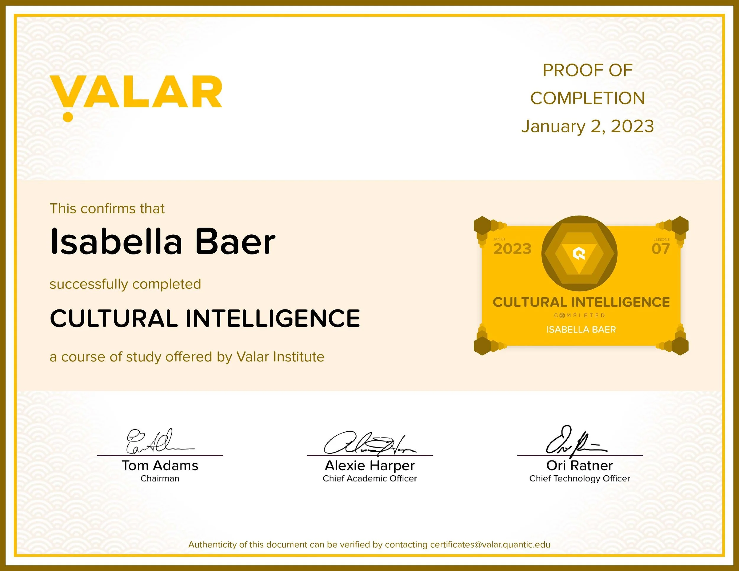 Cultural Intelligence