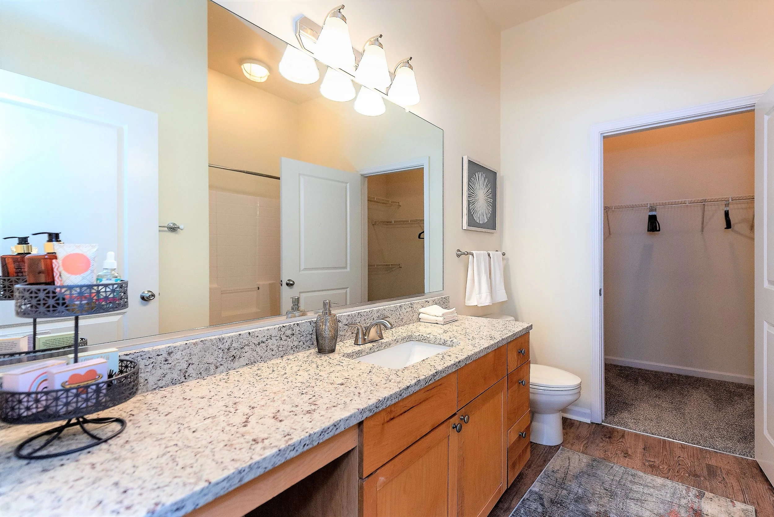 The Alexander At Ghent