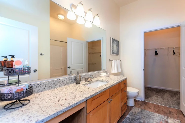 The Alexander At Ghent